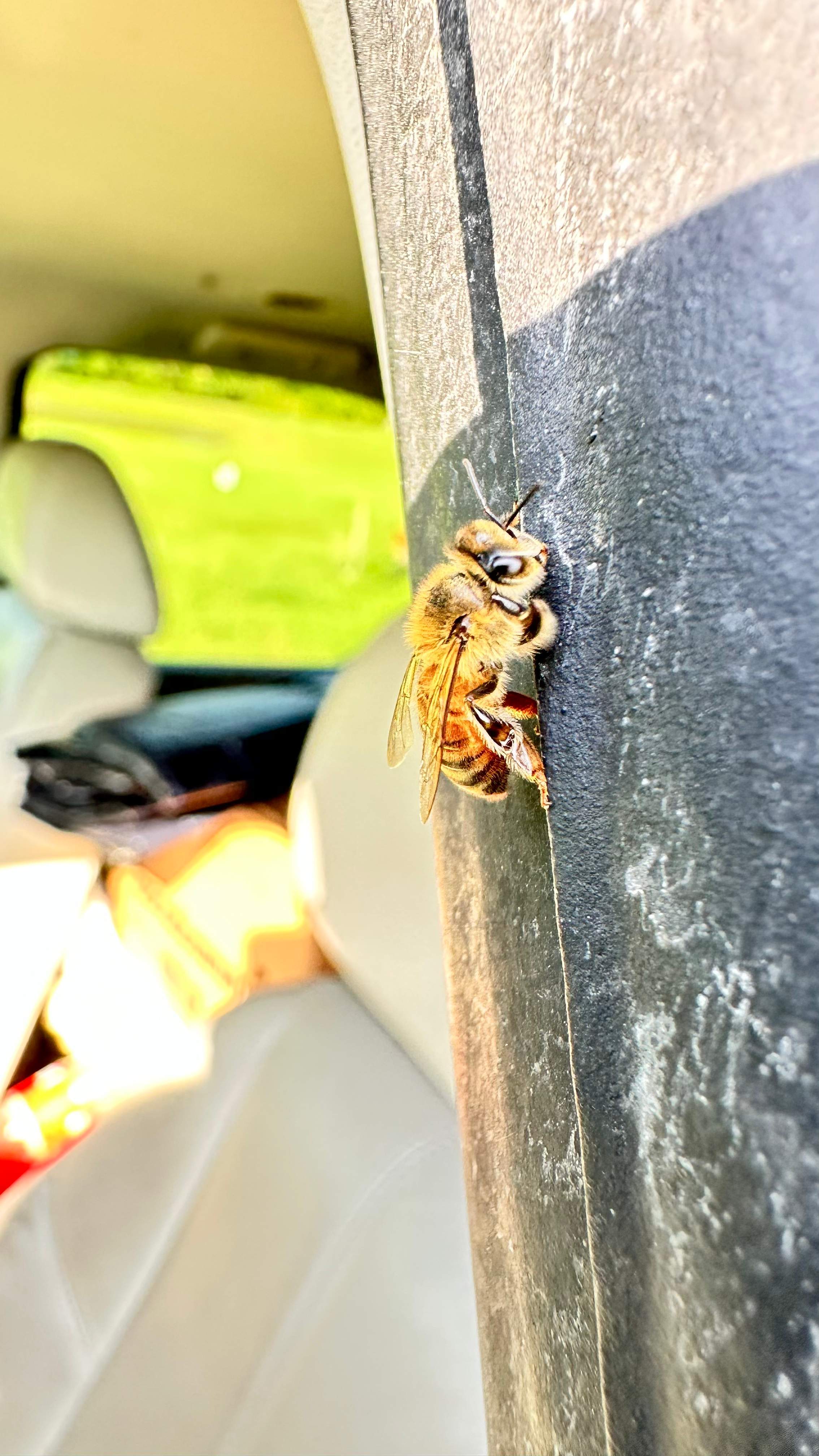 Composter by Rockwall Honey Bee Company