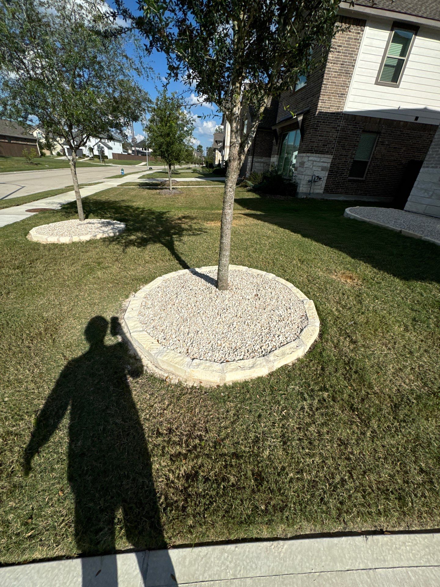 🌿✨ Yard of the Month – Curb Appeal with Drainage, Irrigation & Walk Path by Texas Urban Elements