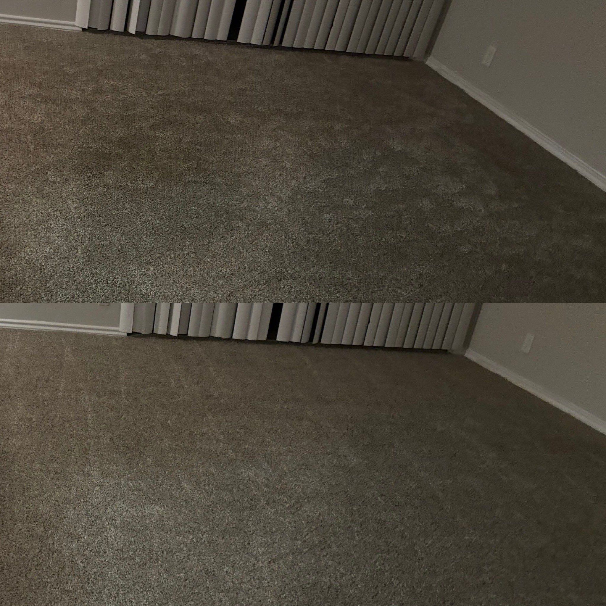 the service being done is carpet cleaning to remove stains and refresh the surface for a cleaner appearance