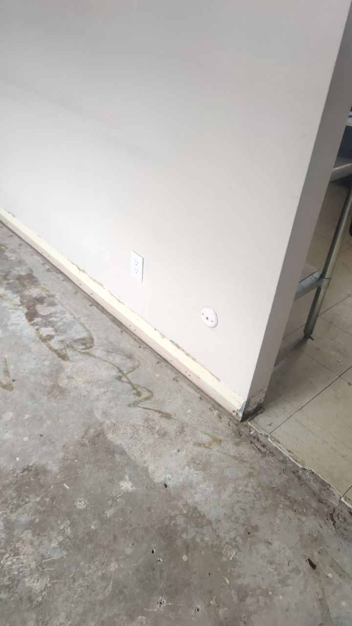 Mold Remediation by Accountable Home Services