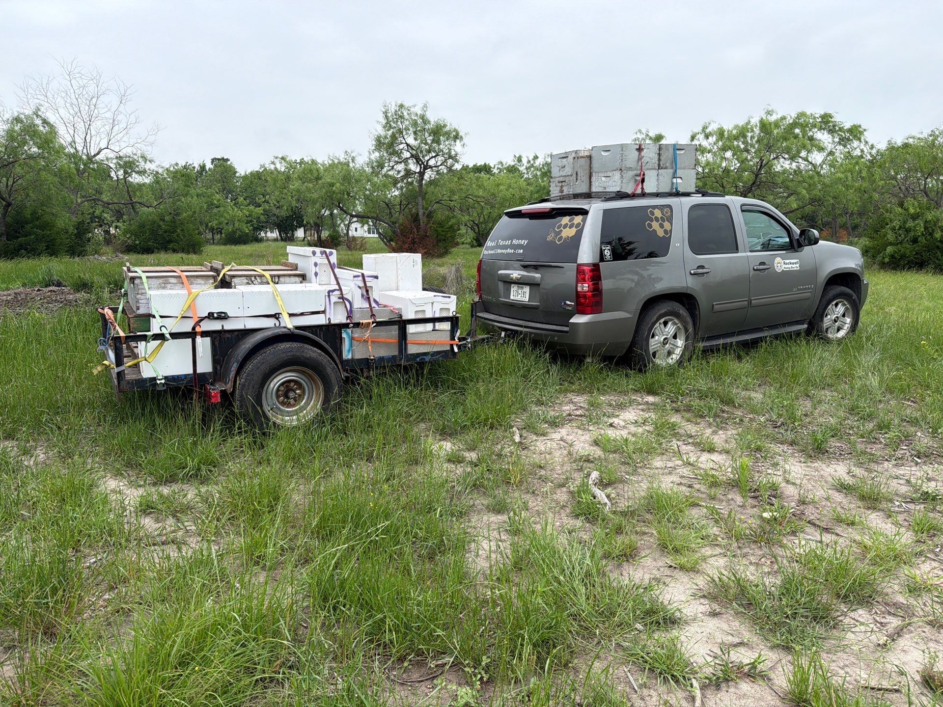 Exemption in Royse City, TX by Rockwall Honey Bee Company