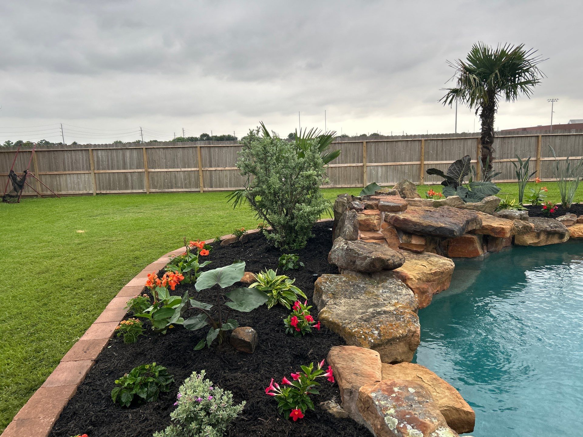 🌿 Larry Caudillo’s Poolside Landscape Revamp by Texas Urban Elements