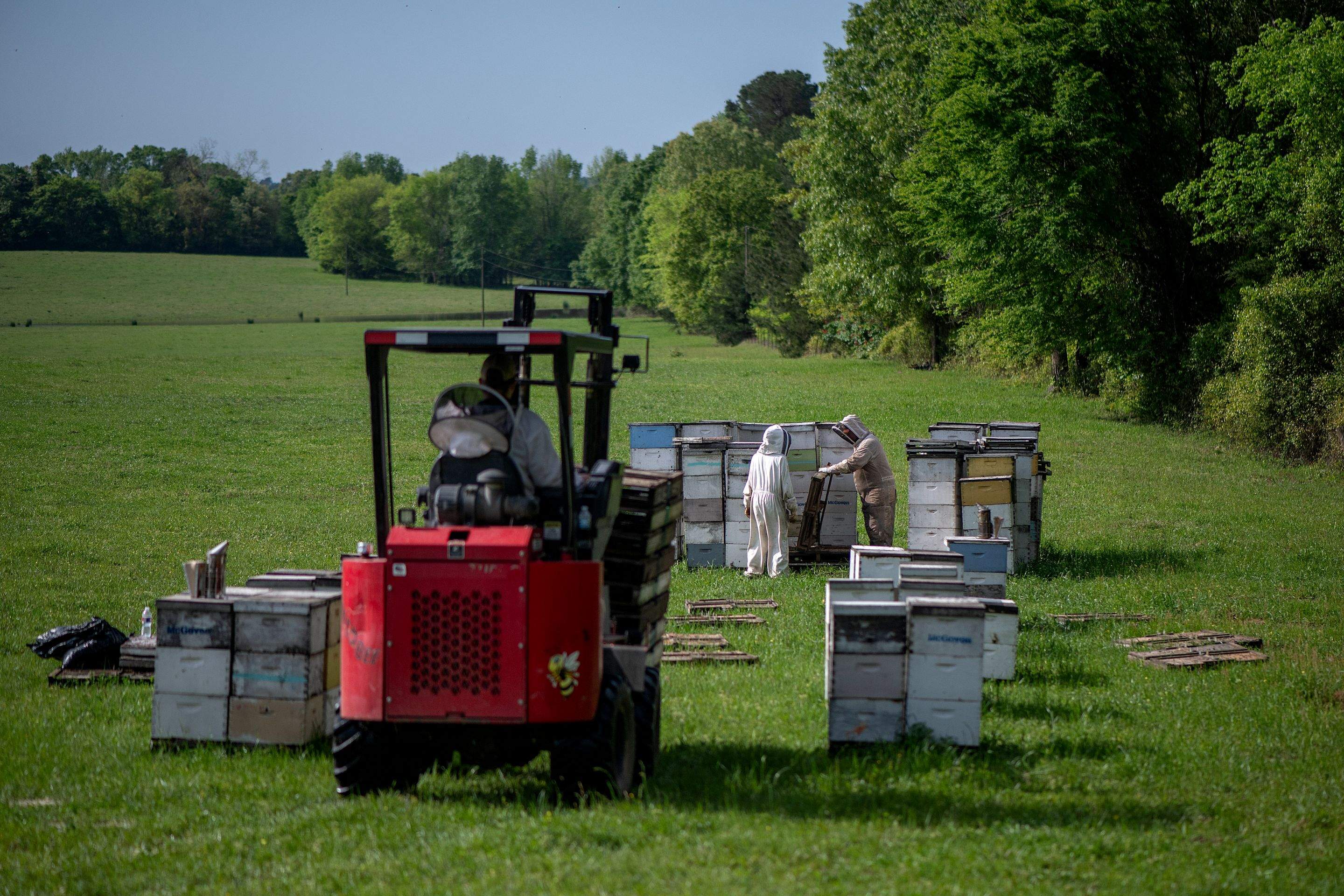Splits in East Texas by Rockwall Honey Bee Company