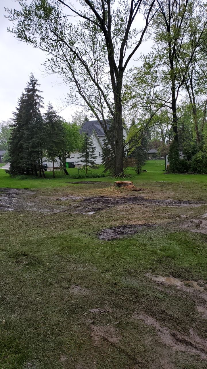 Tree Removal using Tree Removal by Mike Jones & Sons Tree Service LLC 