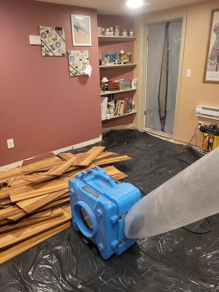 Water Damage and Mold Remediation by Accountable Home Services