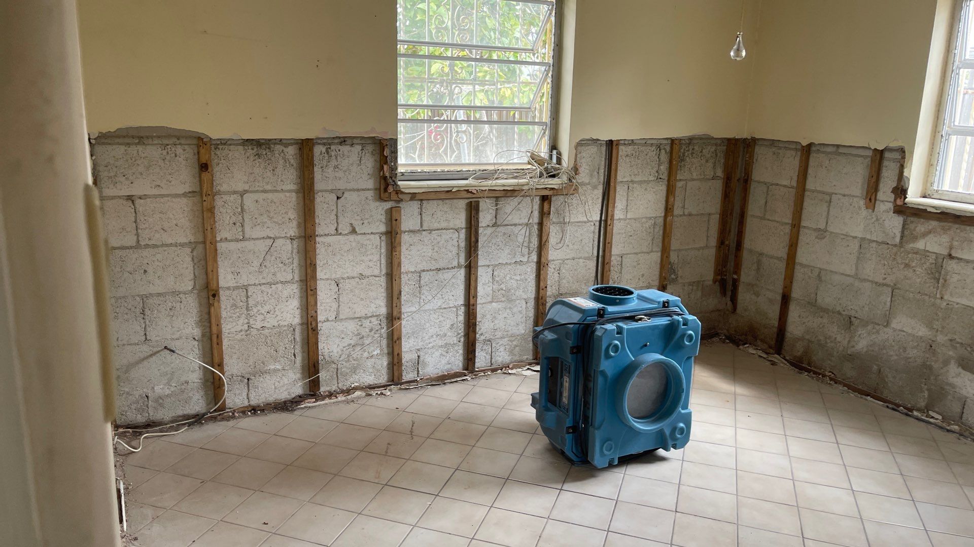 Mold Remediation  by THE RAPID TEAM