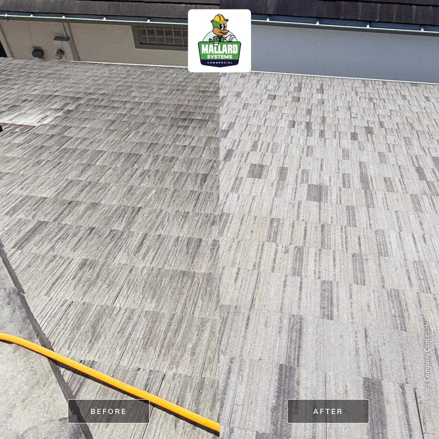Roof Cleaning for Dr. Phillips by Mallard Systems