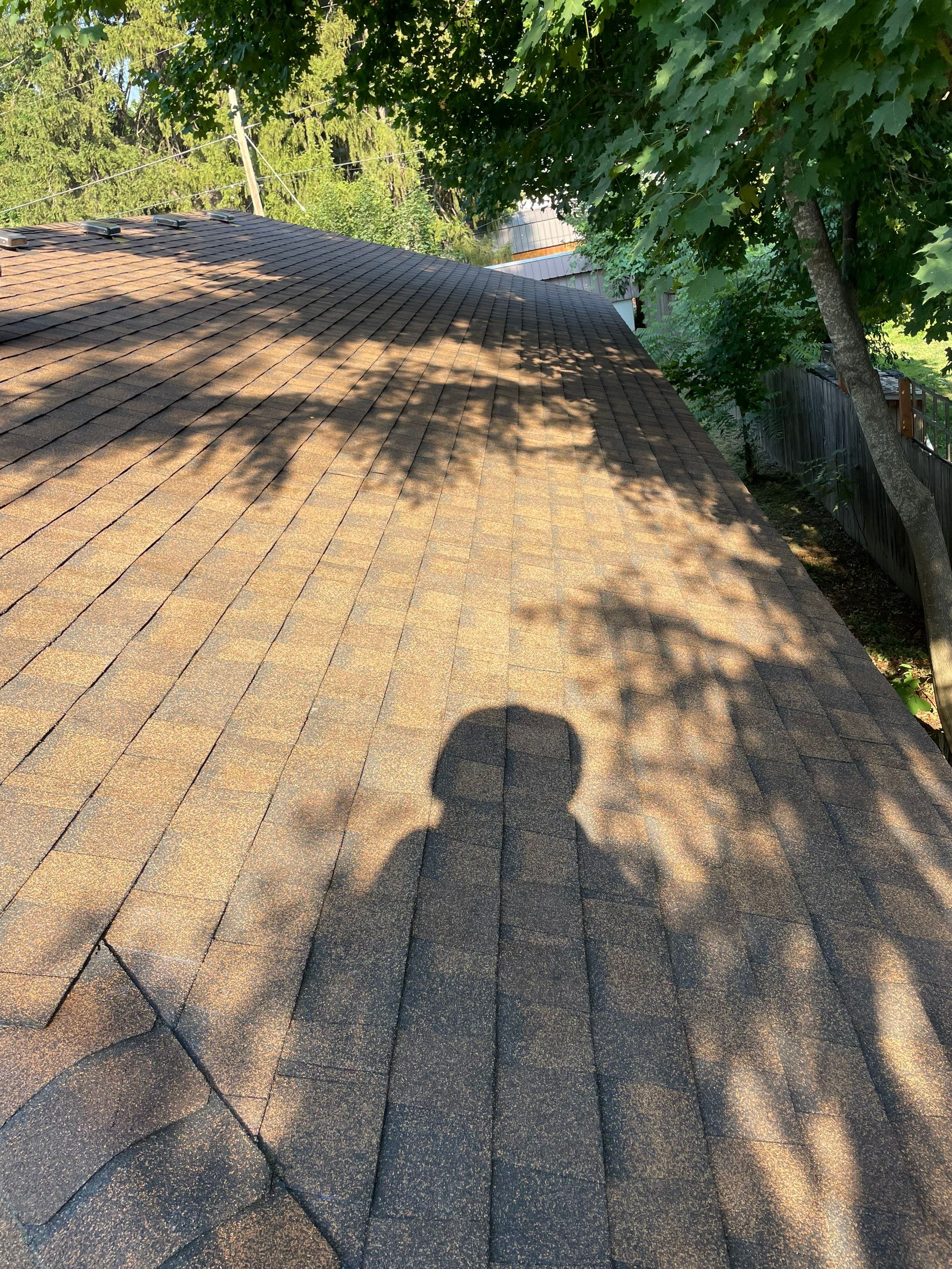 Asphalt Shingle Roof Replacement and Decking Repair N Boyer Ave Sandpoint, ID 83864 by Alpine Roofing