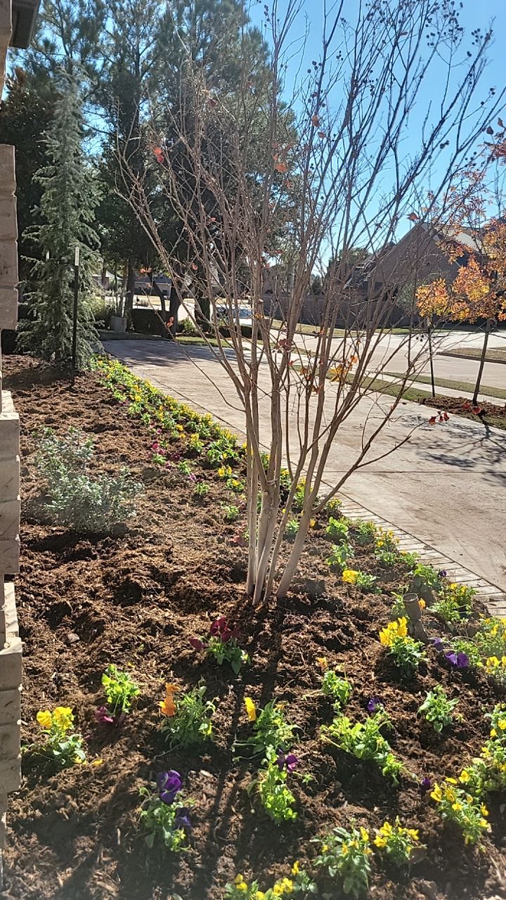 Landscape  by Clays Services Inc