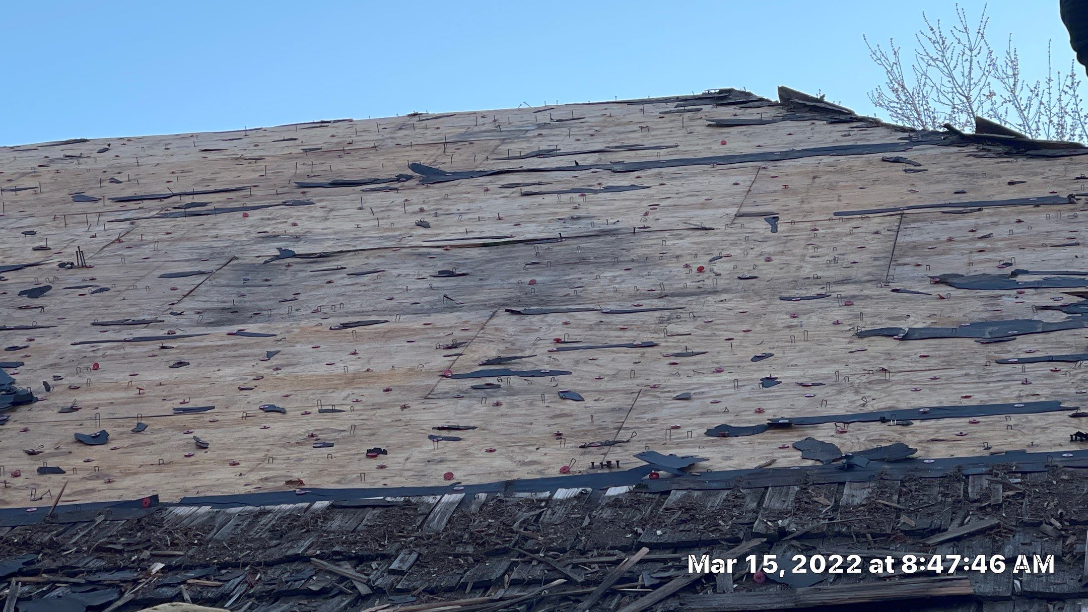 Residential Roofing Installation using CertainTeed Presidential Impact Resistant  by Eaton Roofing 