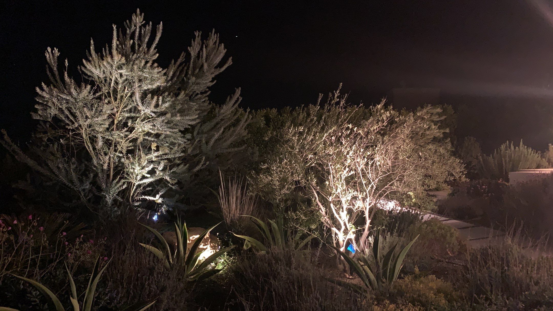 Malibu Landscape Lighting by Outdoor Lights + Shades