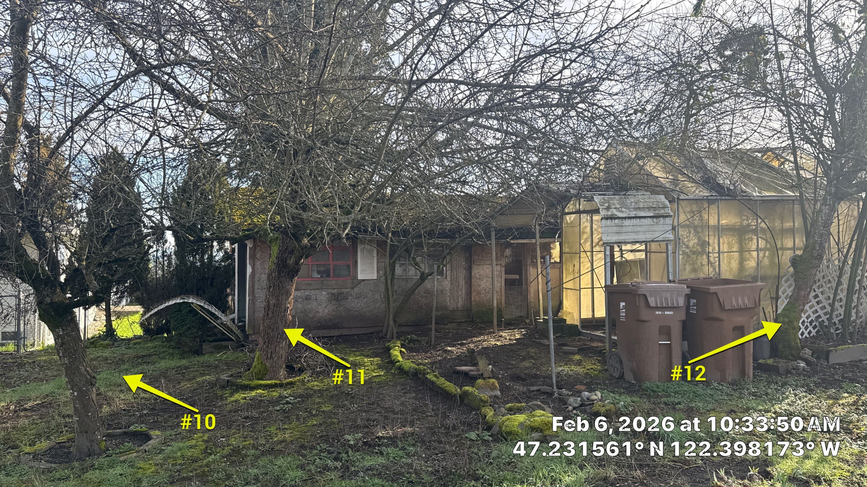 Arborist Development Report for Proposed Site Improvements – Tacoma, WA by Sound Tree Care LLC