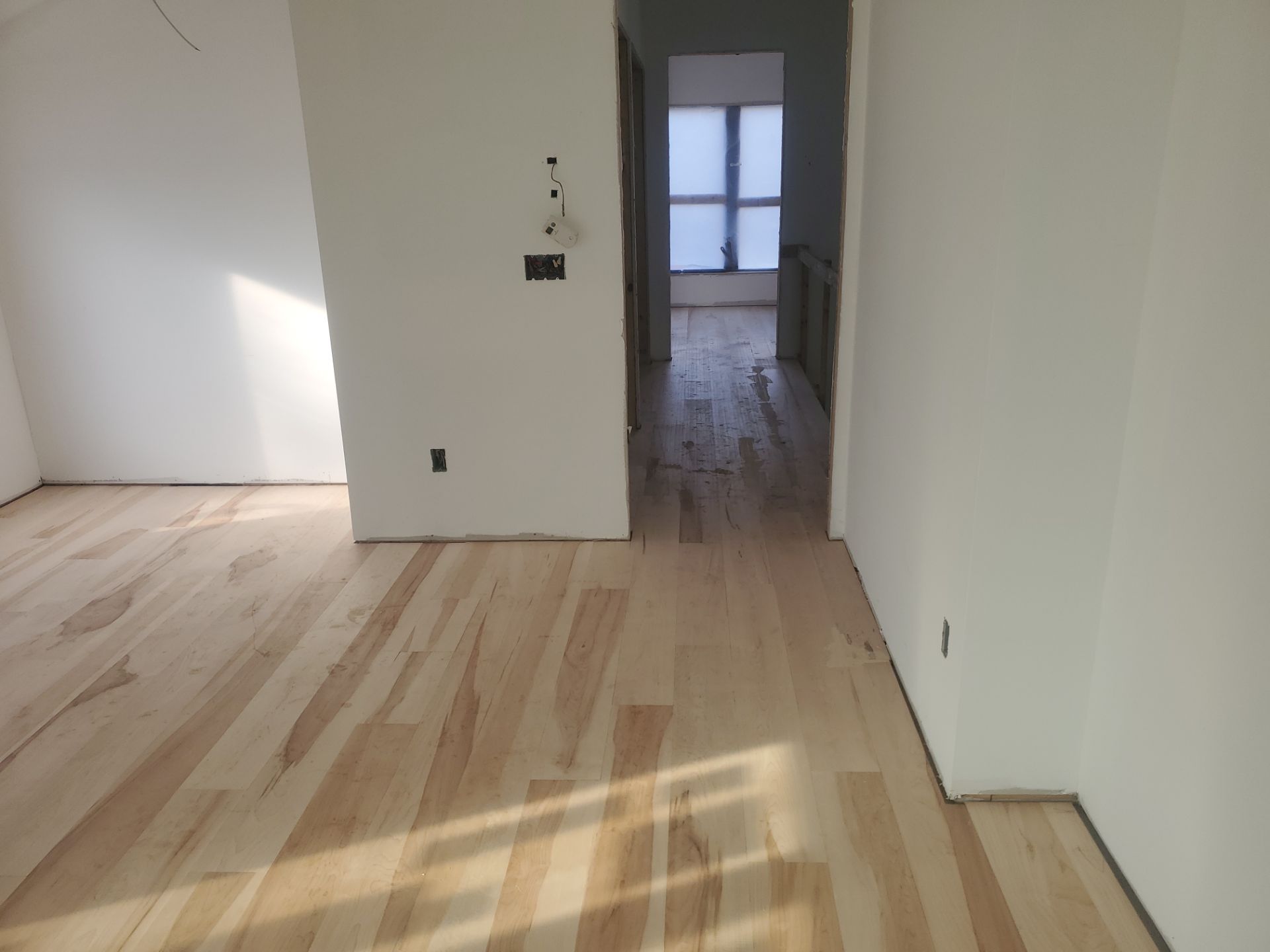 Full glue down Installation over radiant heat 7" Maple character grade by Ann Arbor Hardwoods 