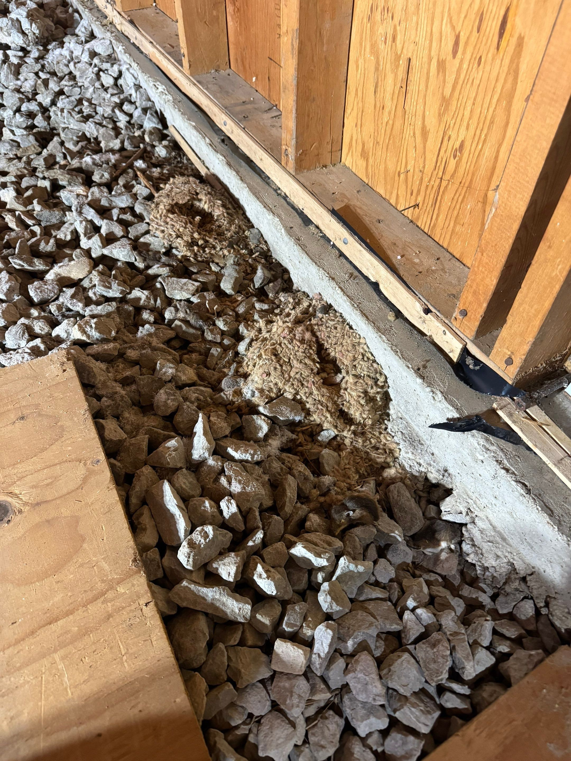 Jump Up Crawlspace Encapsulation by Area Wide Waterproofing