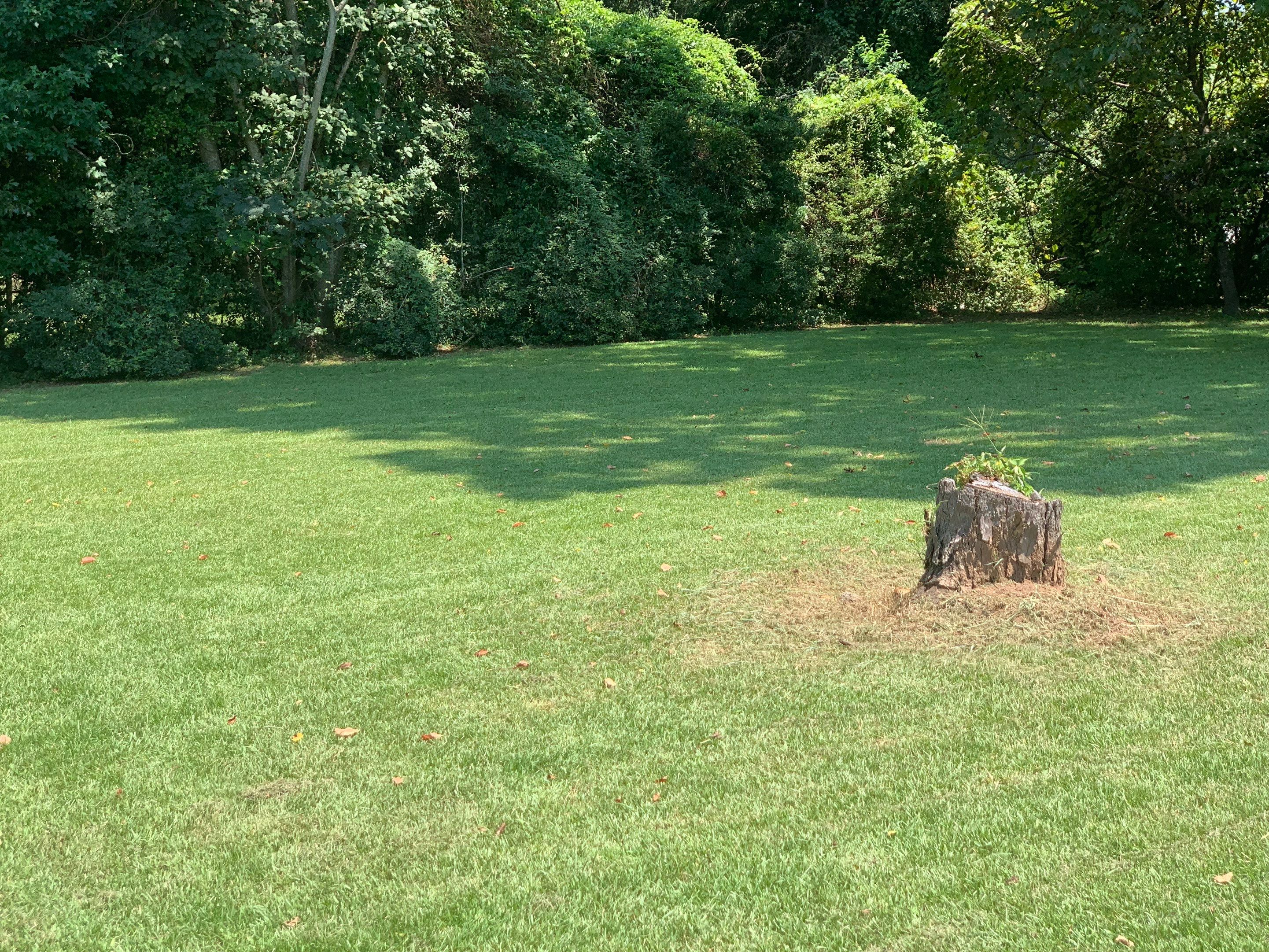 Yard Makeover by College Bros Outdoor services