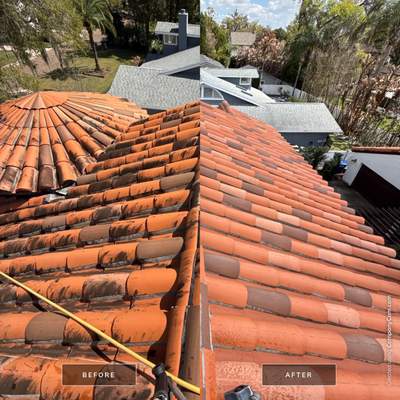 Tile Roof Cleaning