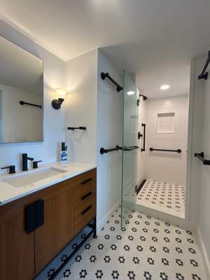 Frameless Shower Door