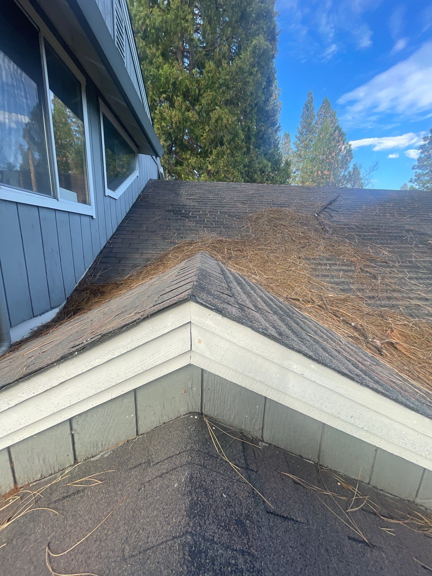 Roof Rejuvenation using Roof Maxx Treatment by Roof Maxx of Folsom