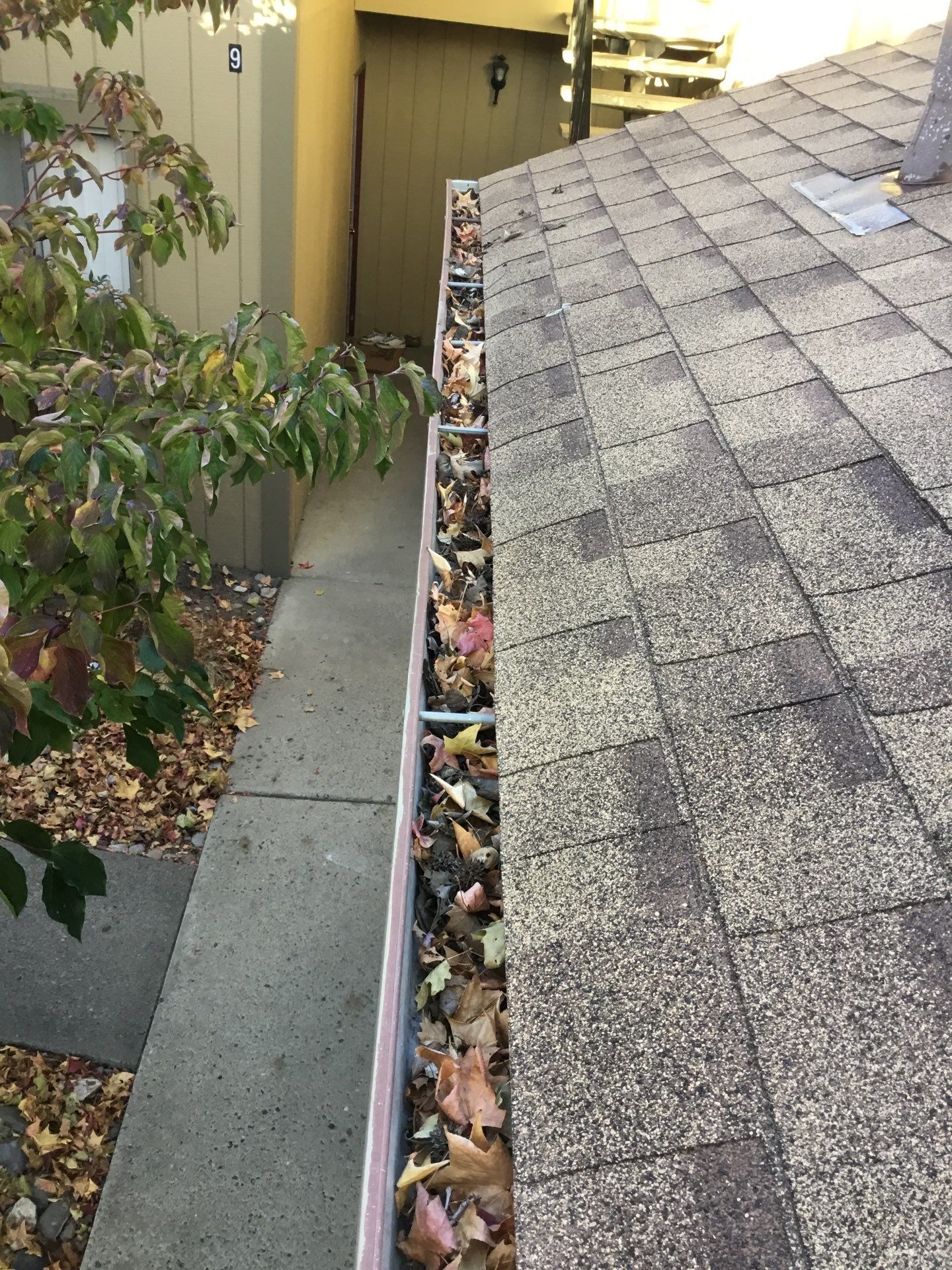 Commercial gutter cleaning Reno before photo with filled gutters
