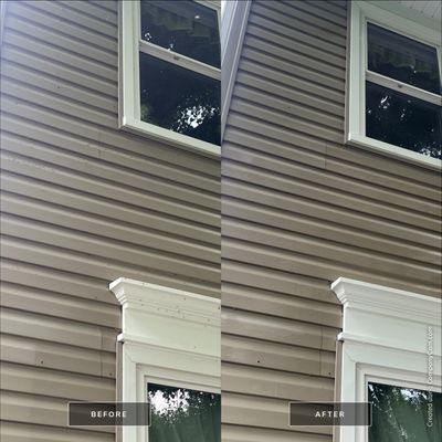 Project in Island Lake