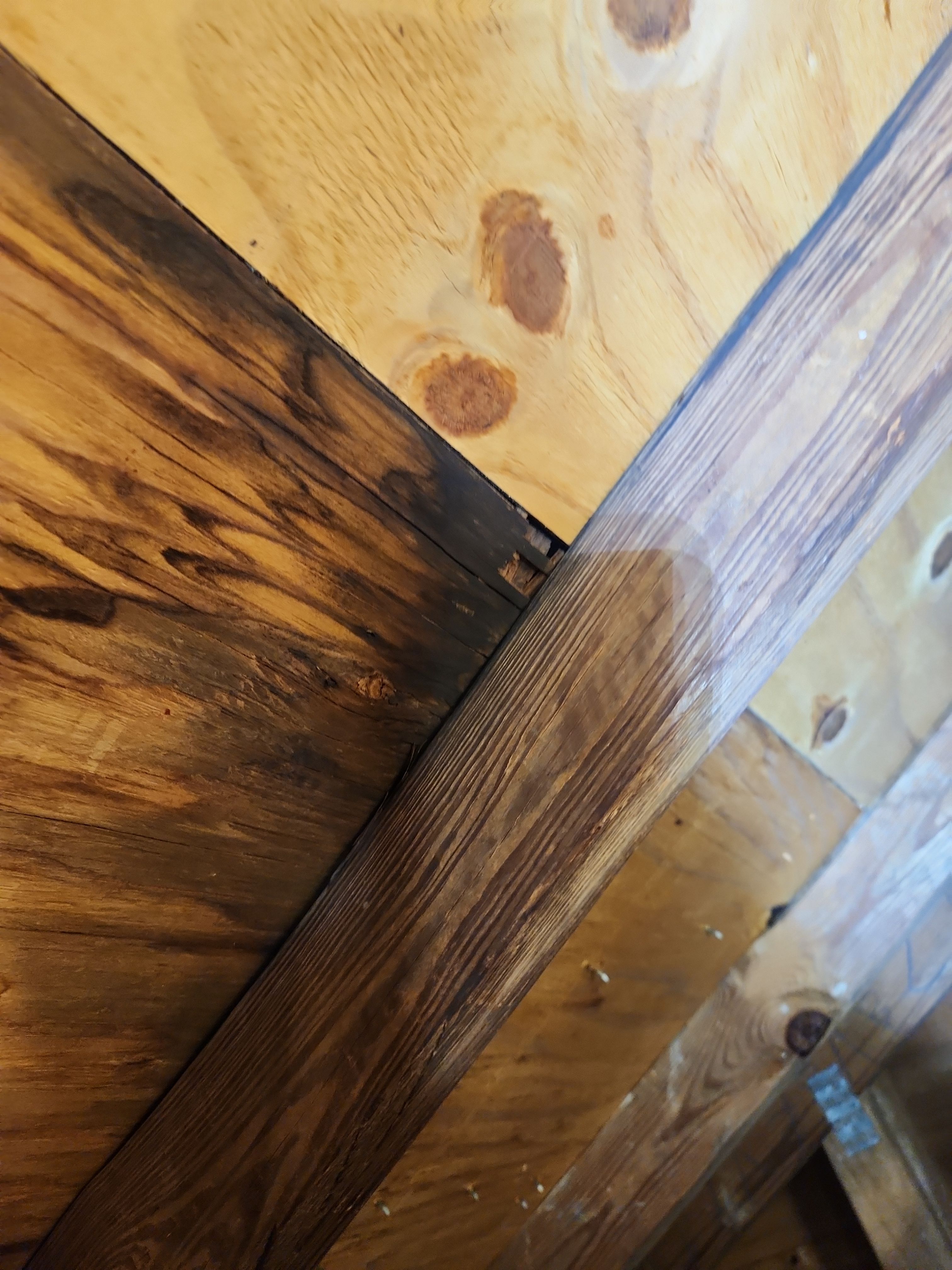 Clay Tile Roof Leak Repair and Sheathing Replacement in Hollywood by Aastro Roofing