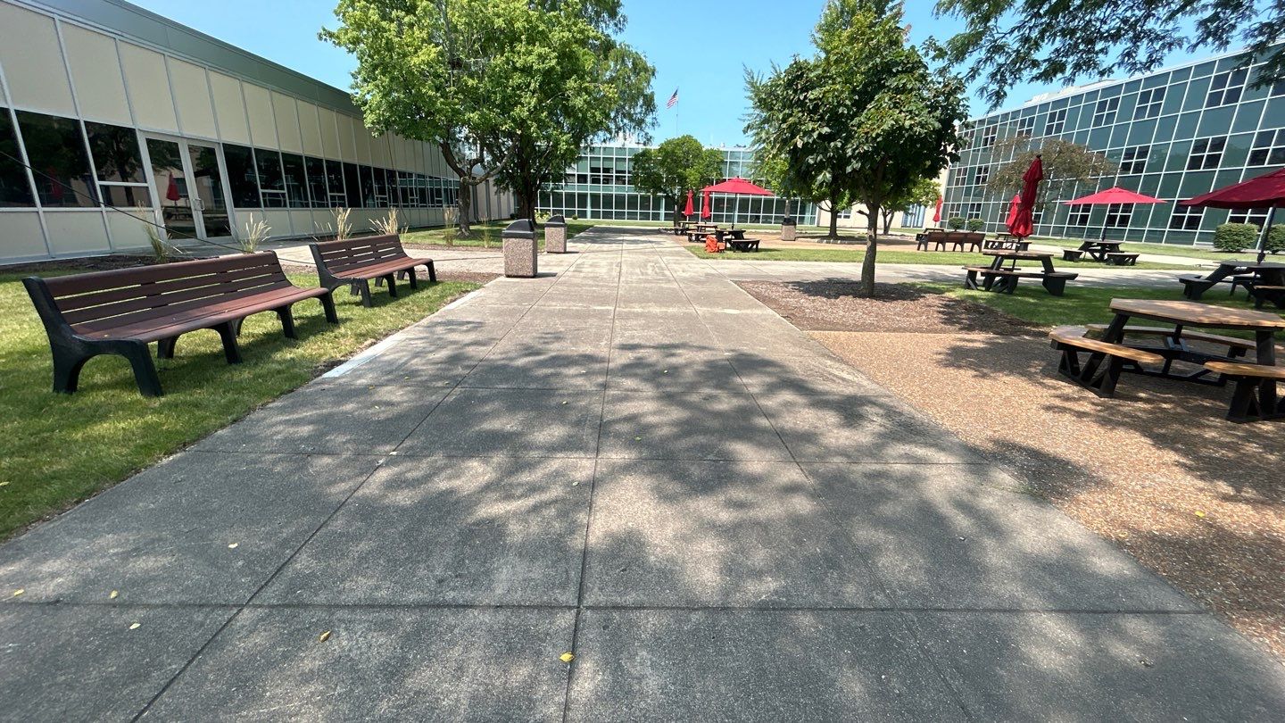 concrete using Algaecide, soft wash soap by Northern Power Washing LLC.