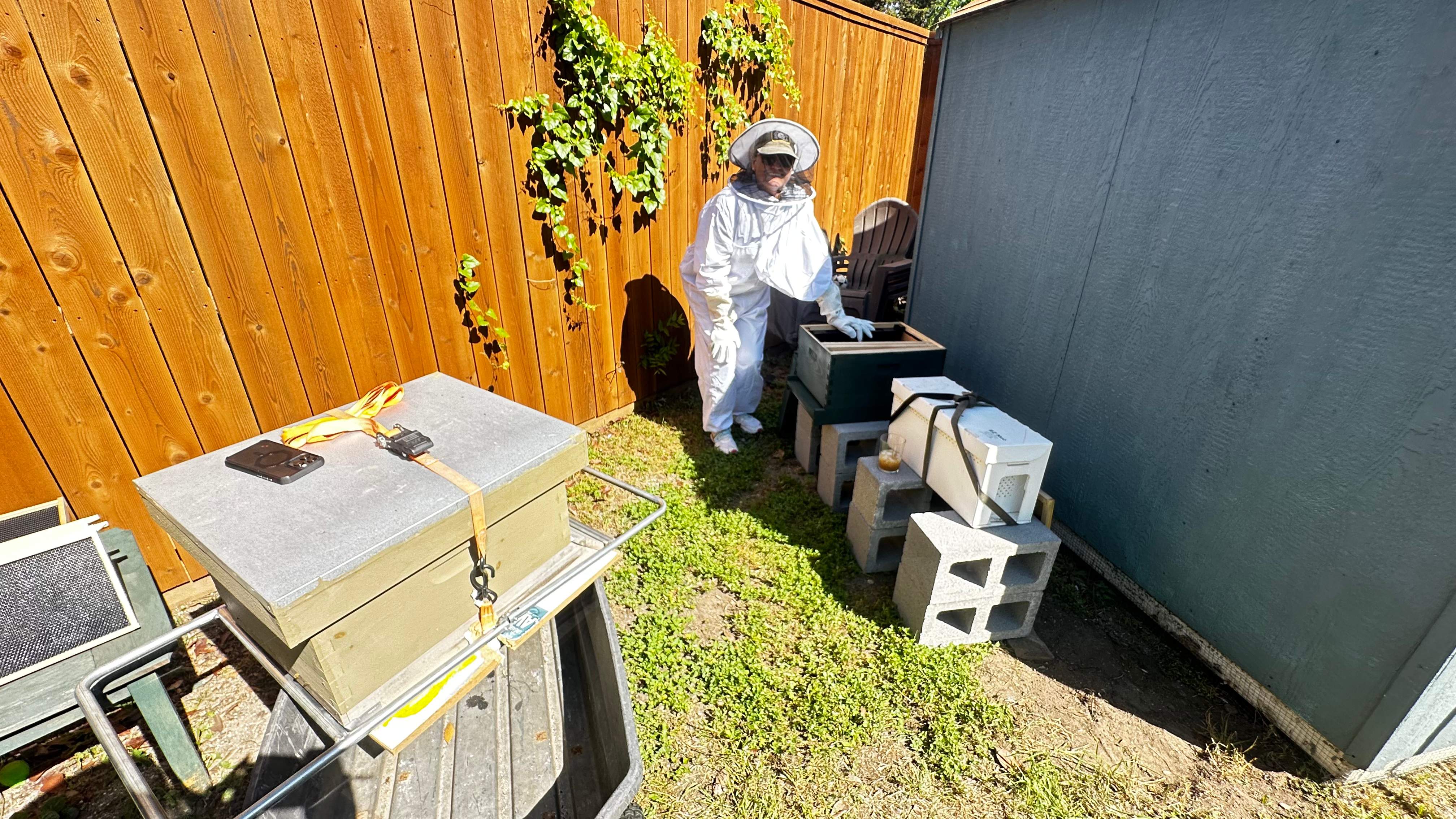 Project in Dallas by Rockwall Honey Bee Company