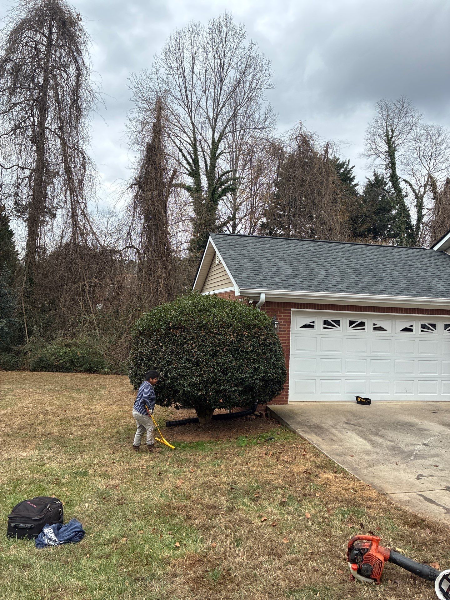 Susan Collins by United Contracting and Roofing