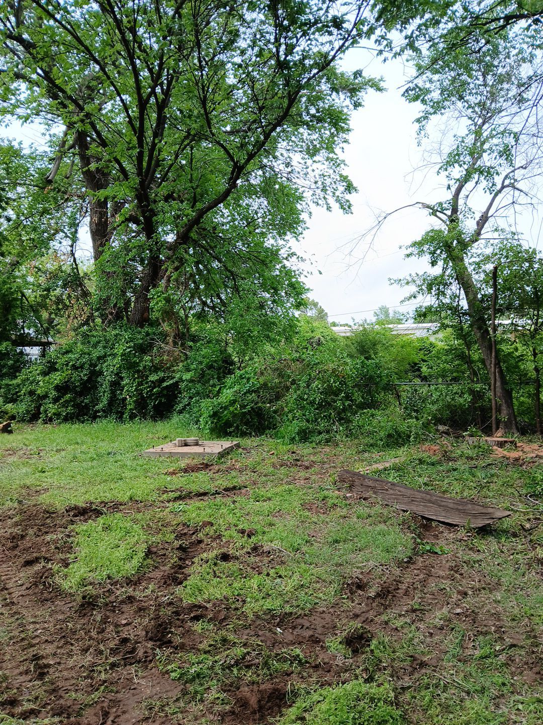 Tree Removal by Clays Services Inc