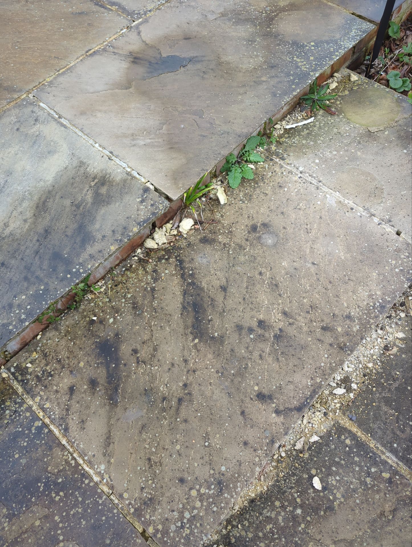 Patio Area Spring Clean using Mosmatic Flat Surface Cleaner by Ges Exterior Cleaning ltd