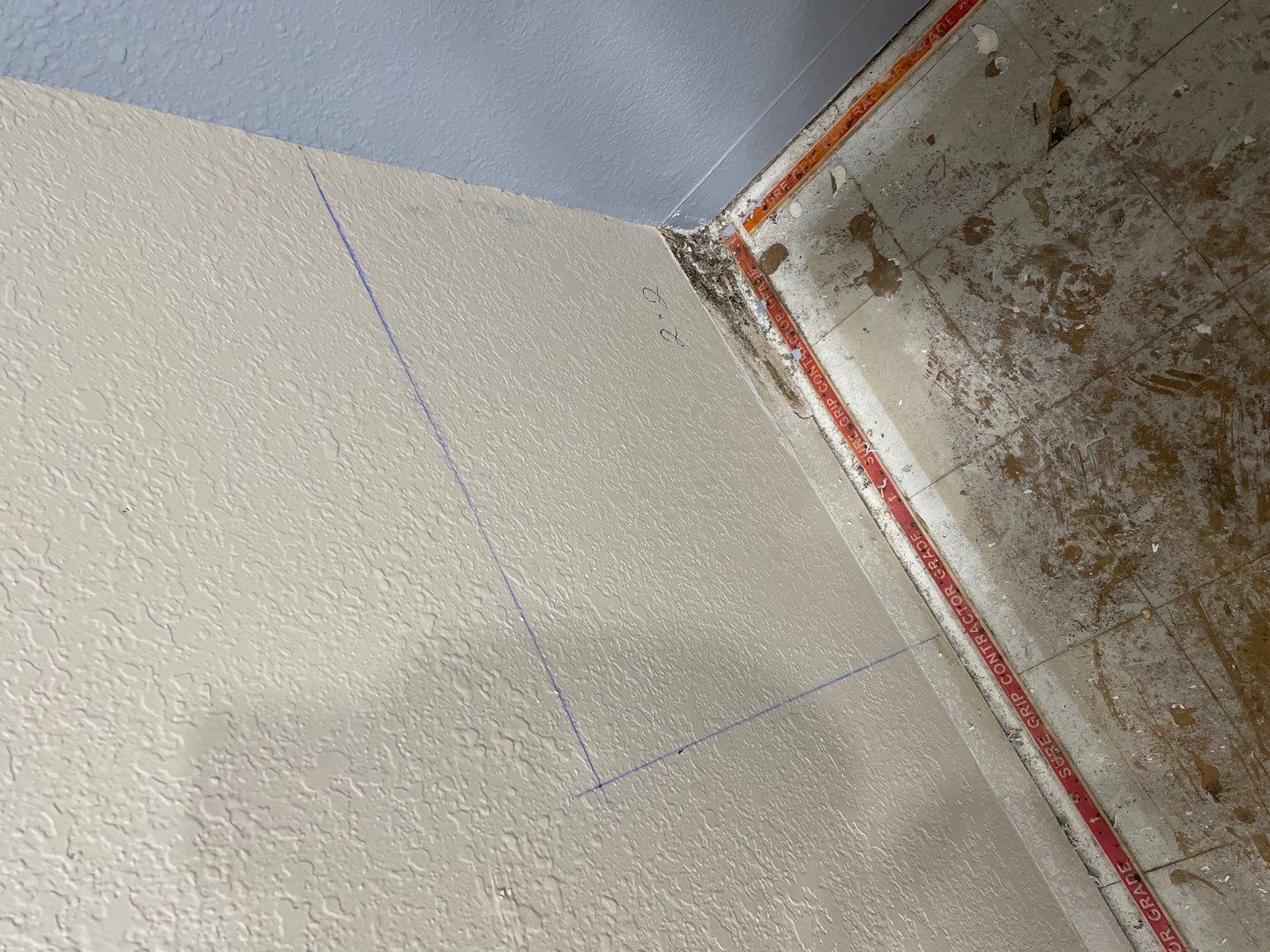 Water Damage and Mold Remediation by Accountable Home Services