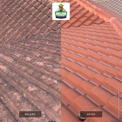 Professional Tile Roof Cleaning in Longwood