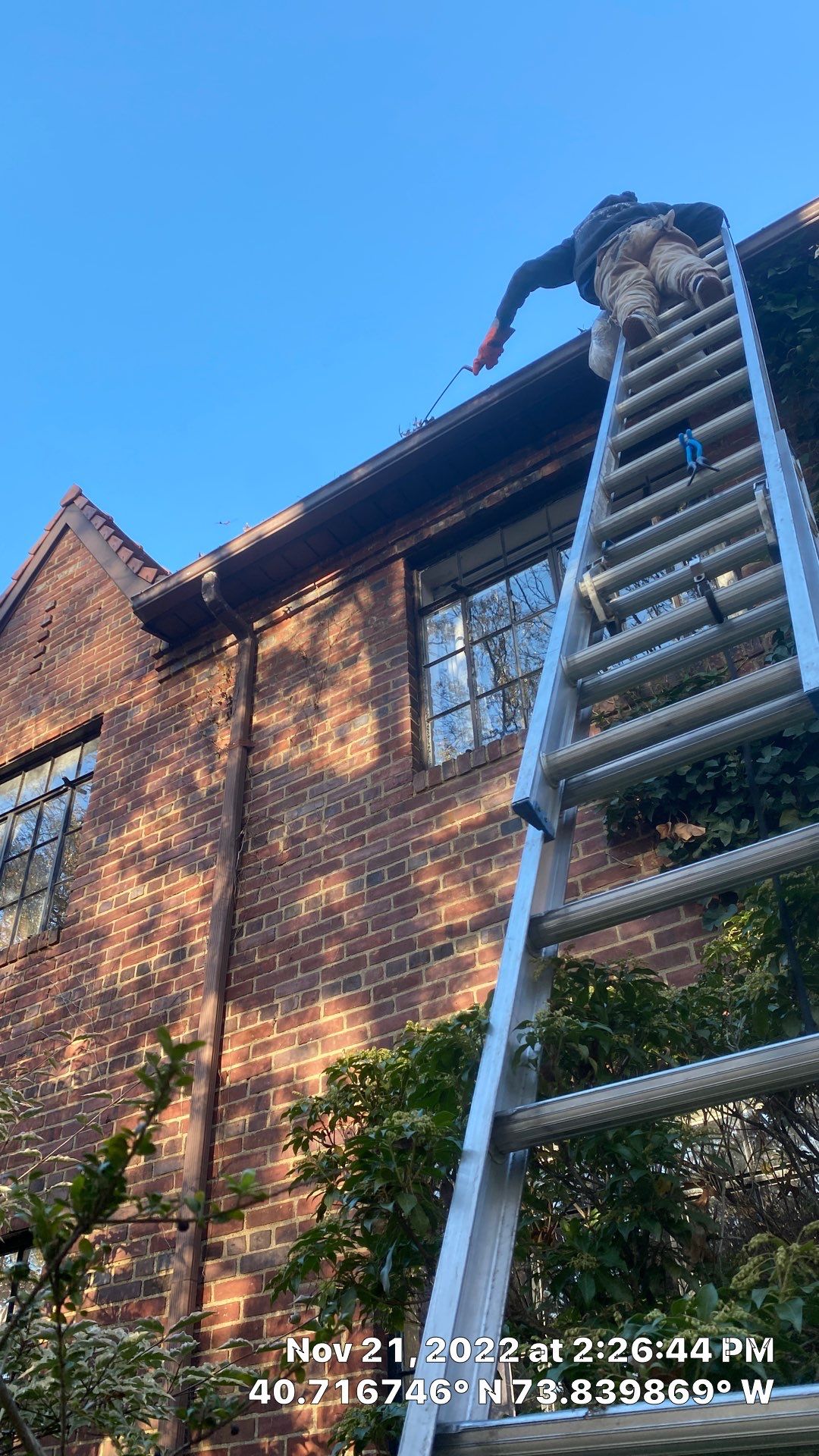 Gutter Cleaning, Forest Hills, Queens by Above All Gutters 