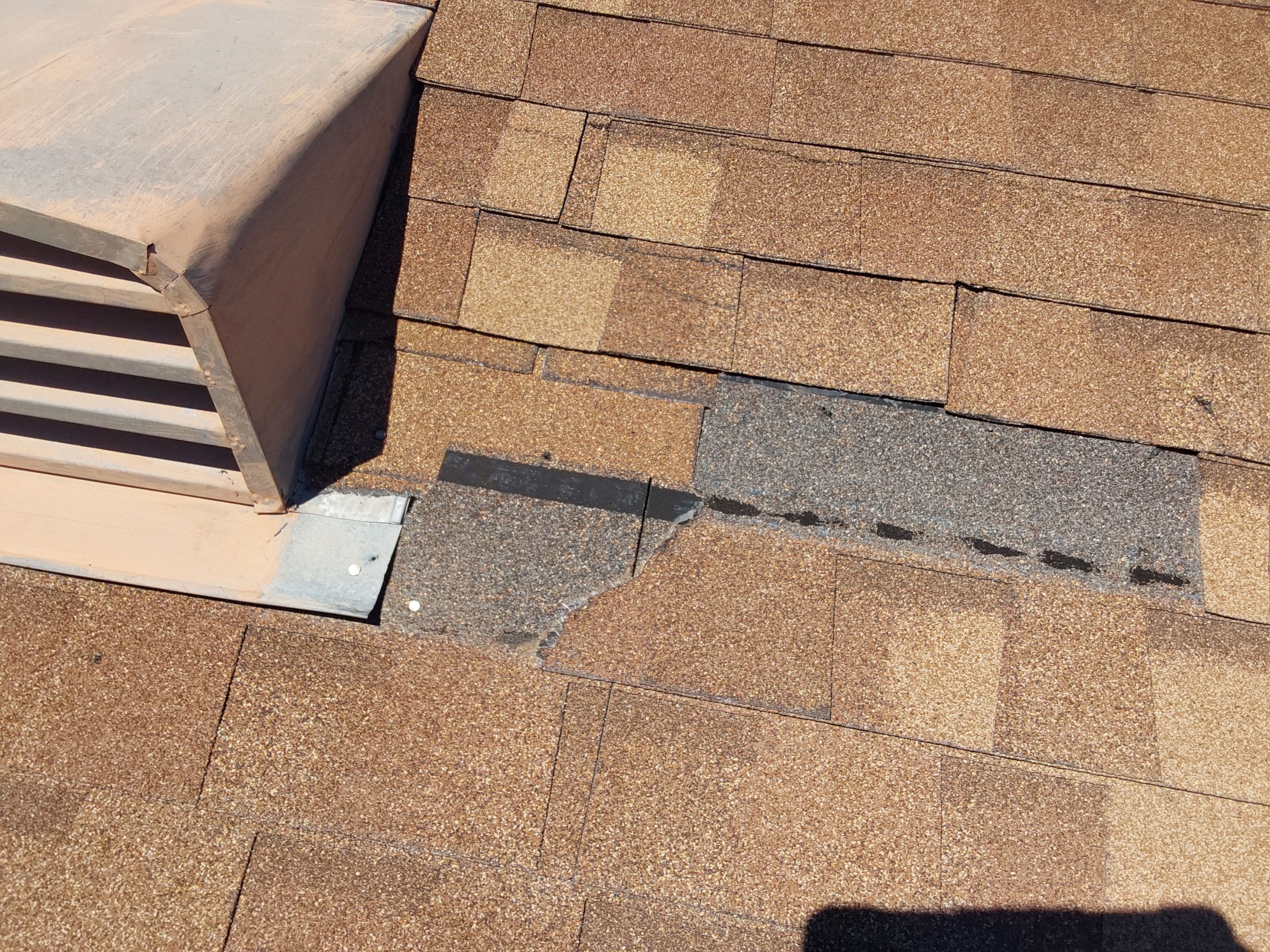 Silver Birch Shingles by Reimagine Roofing