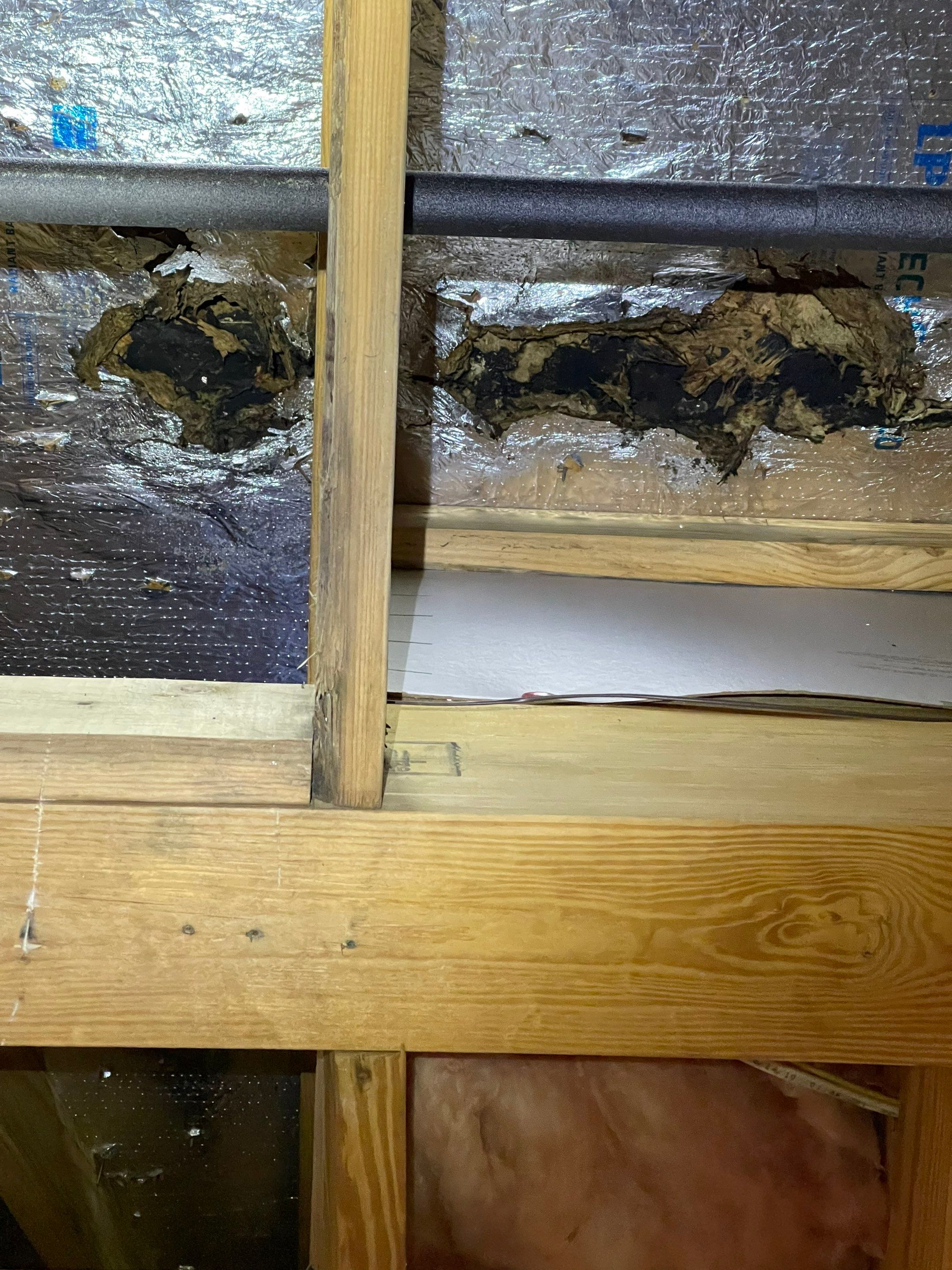 Realtor Referral Leak Repair & Enhanced Waterproofing by Black Coast Roofing