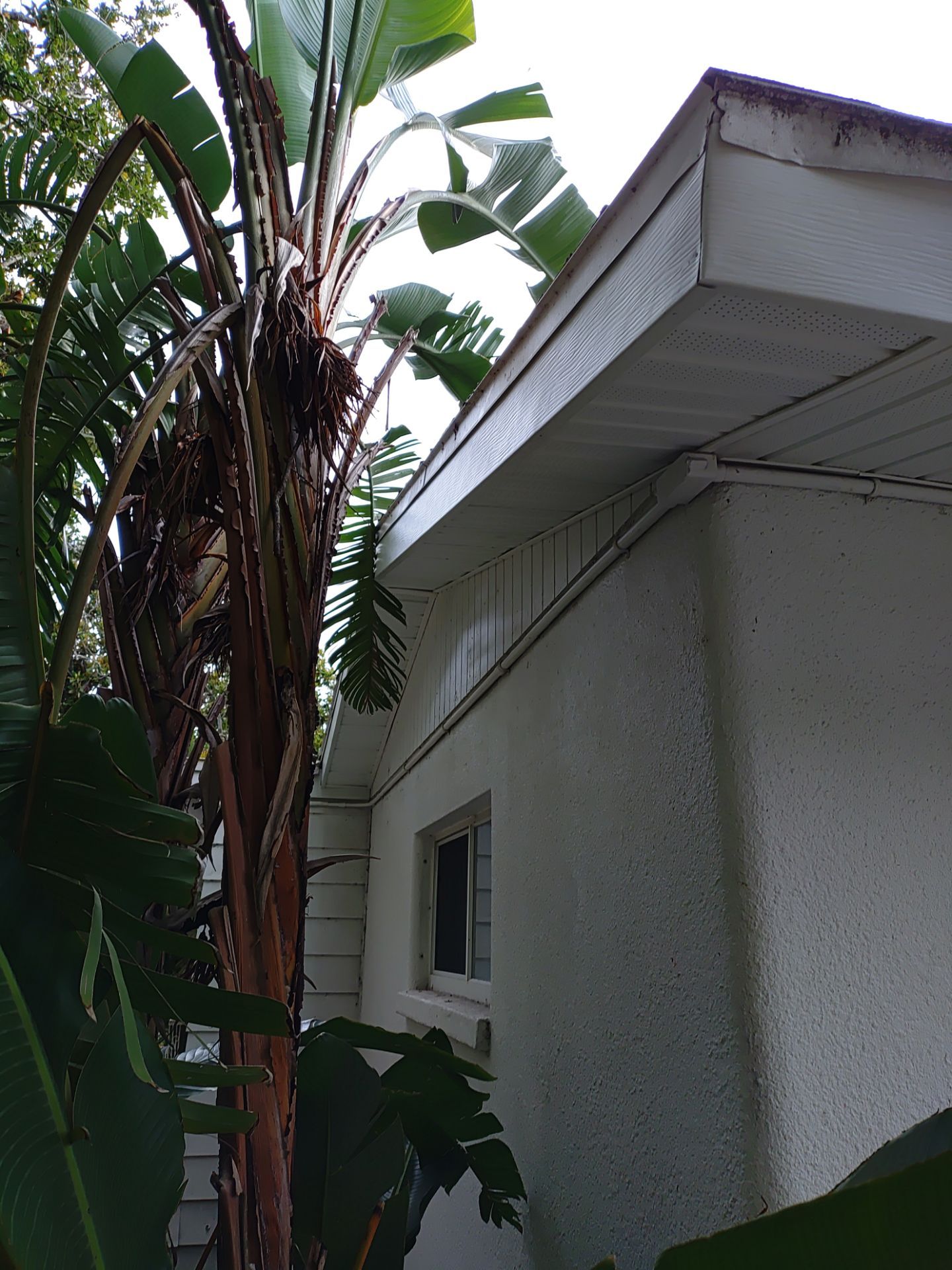 Custom Gutter Guards Installation in Sarasota FL by Gutter Professors