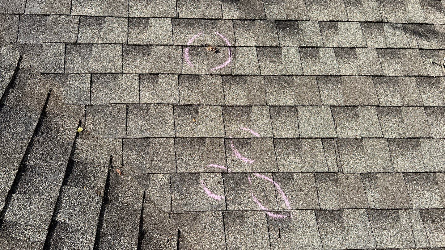 Winter storm 2023 with tree damage by Oakwood Roofing and Construction, LLC