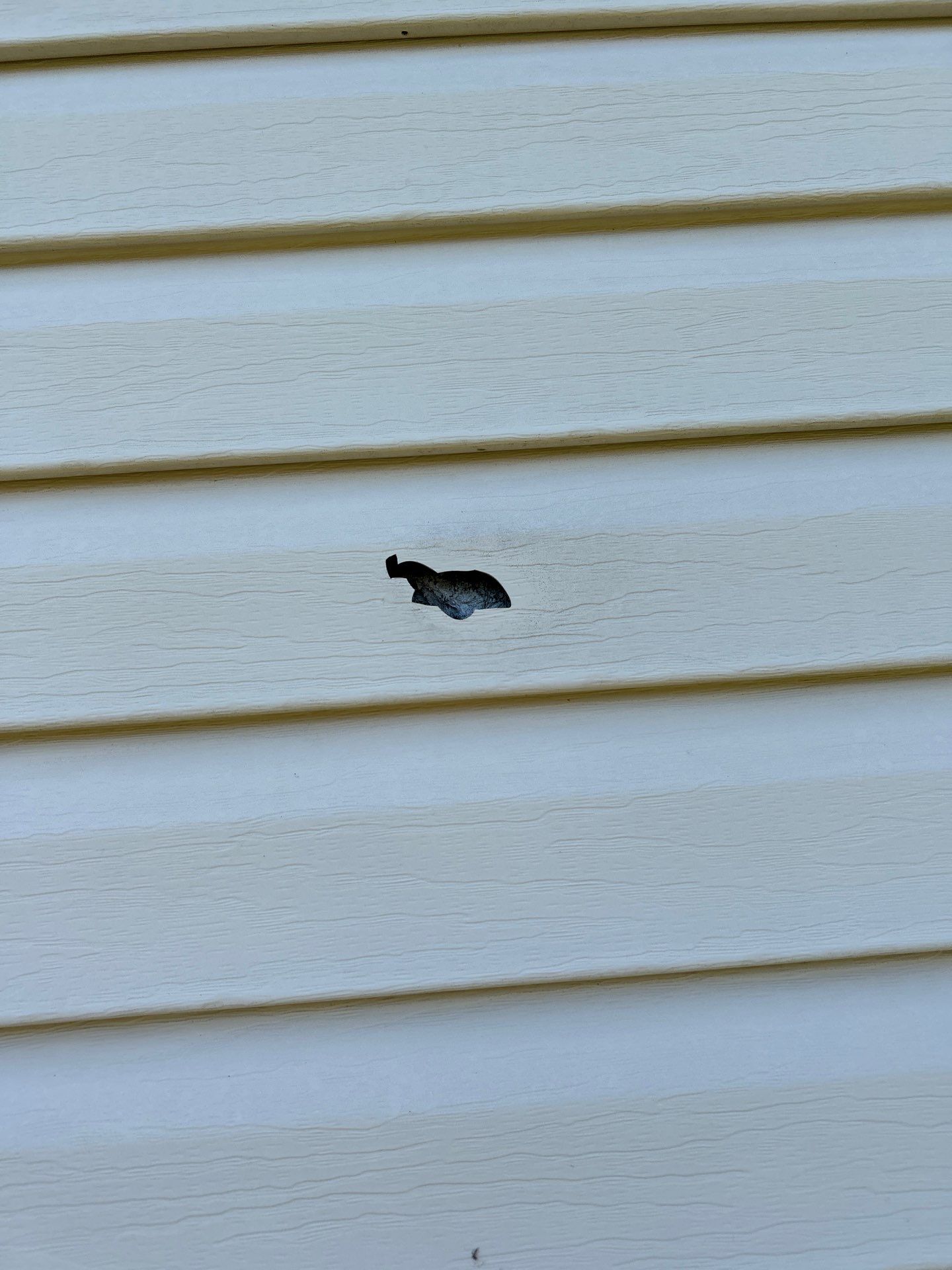 Roof and Siding Replacement using Norandex Cedar Knoll Graphite Siding and Owens Corning Durations in Onyx Black by WIW Enterprises Inc
