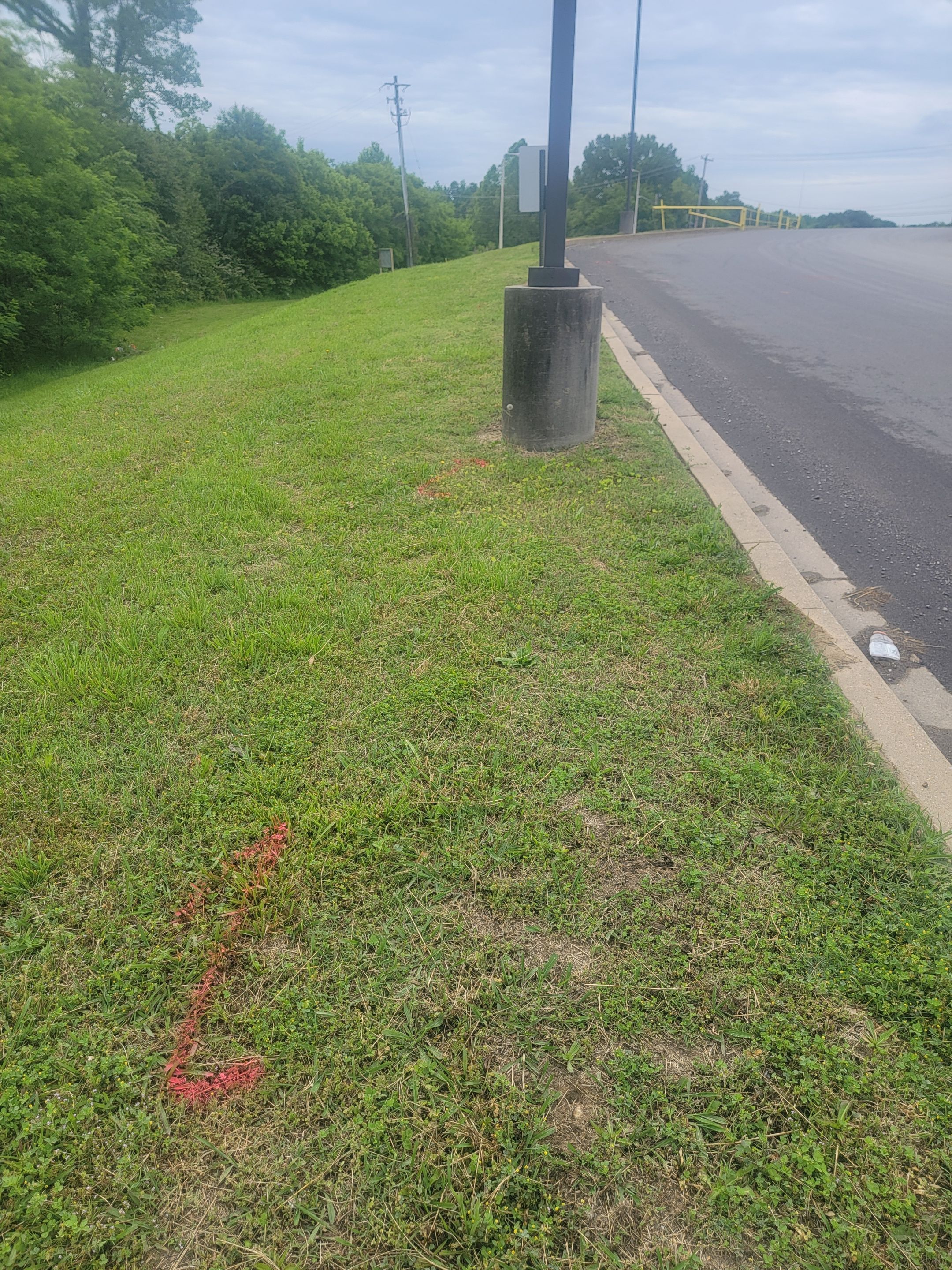 Locating voids and areas of concern for parking lot repairs by Alsip Locating Service, LLC