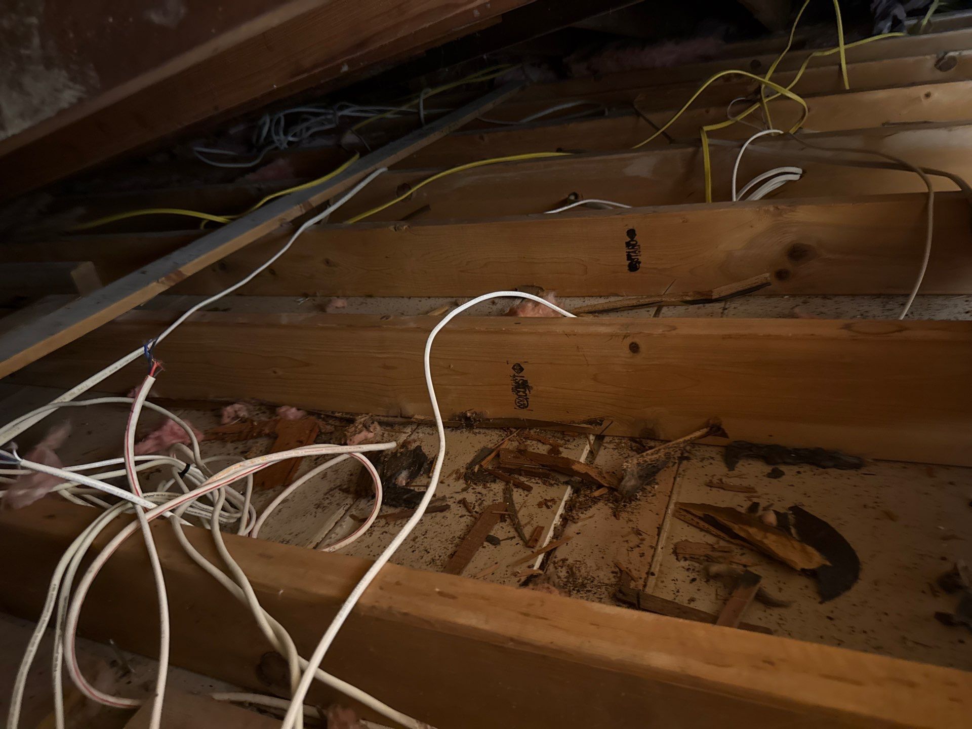 Attic Air Sealing and Blown-In Cellulose Insulation Upgrade in Pittsburgh by Home Environment Solutions