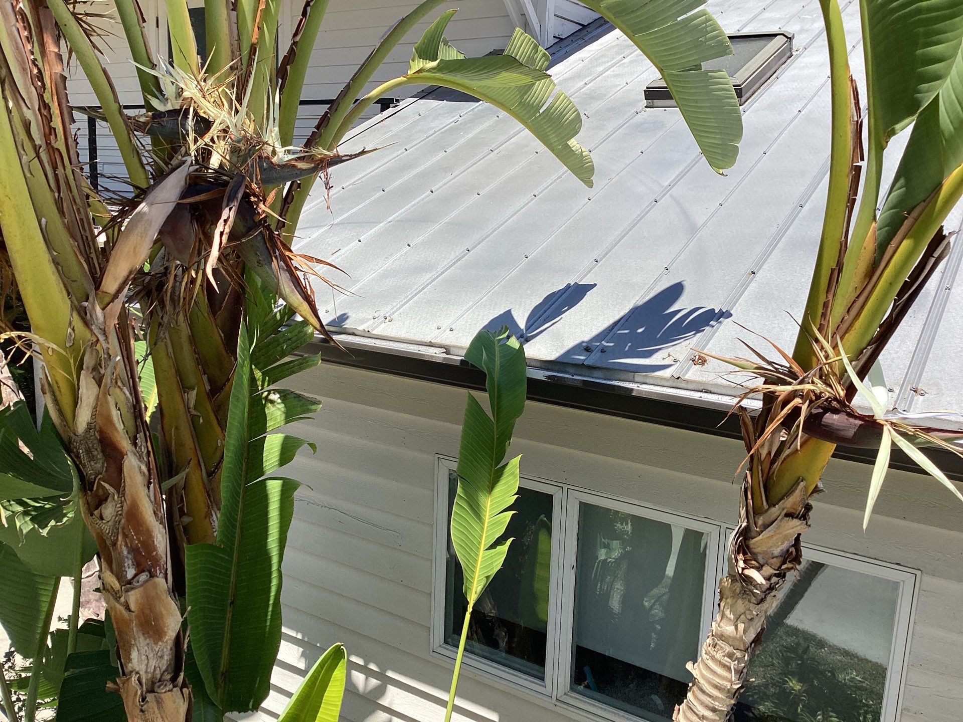 Gutter Guard Installation Project in Sarasota FL by Gutter Professors