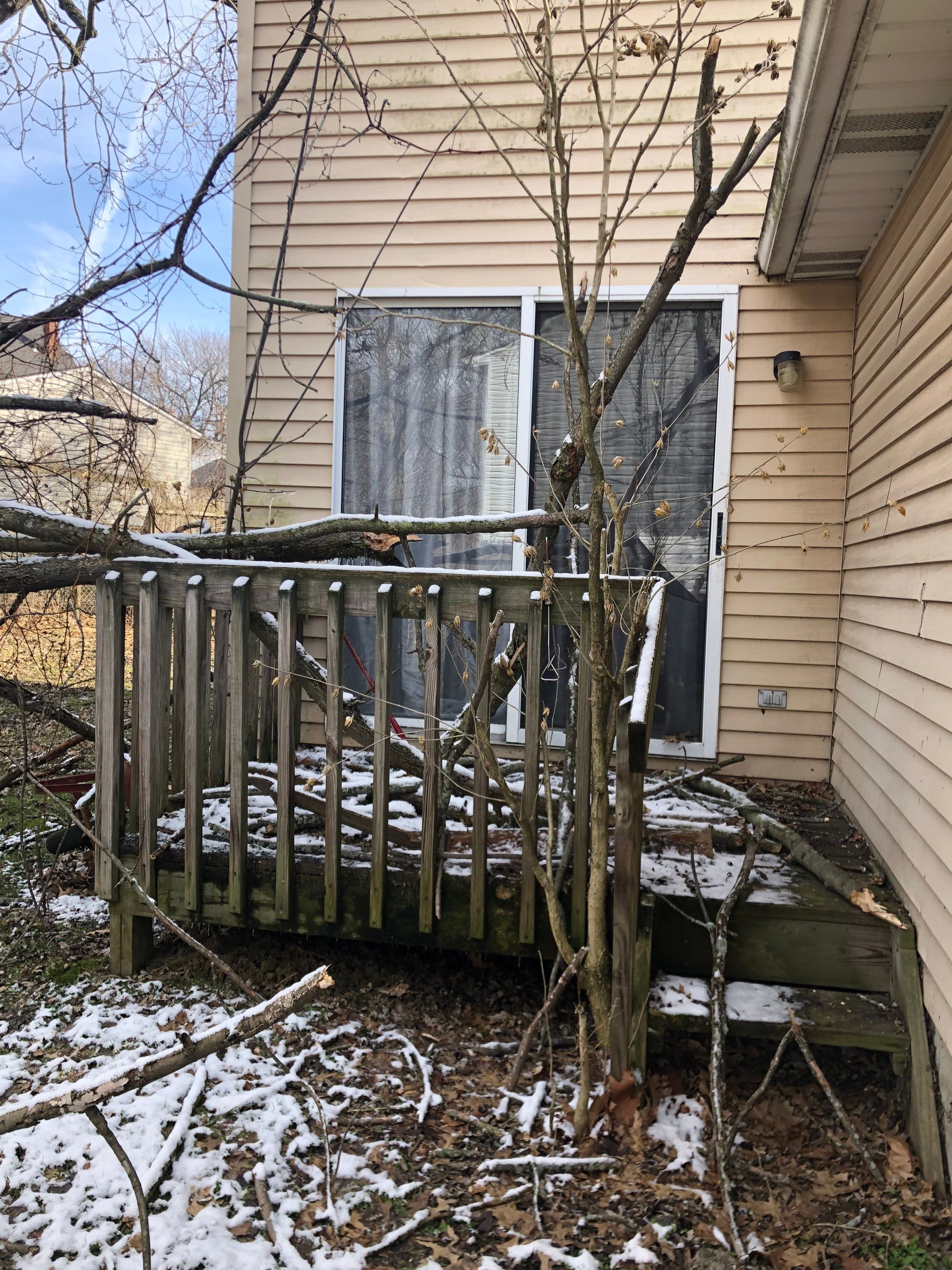 Tree Removal using Tree Removal by Mike Jones & Sons Tree Service LLC 