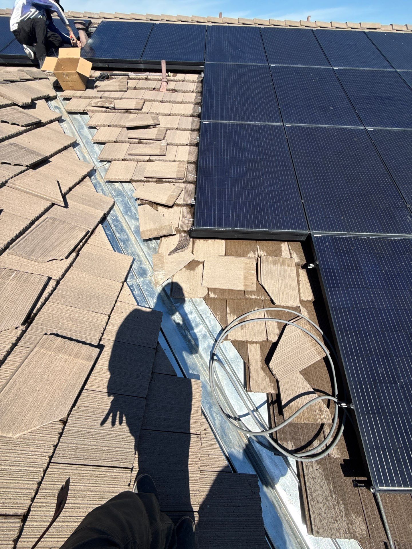 Project in Brentwood by Top Elevation