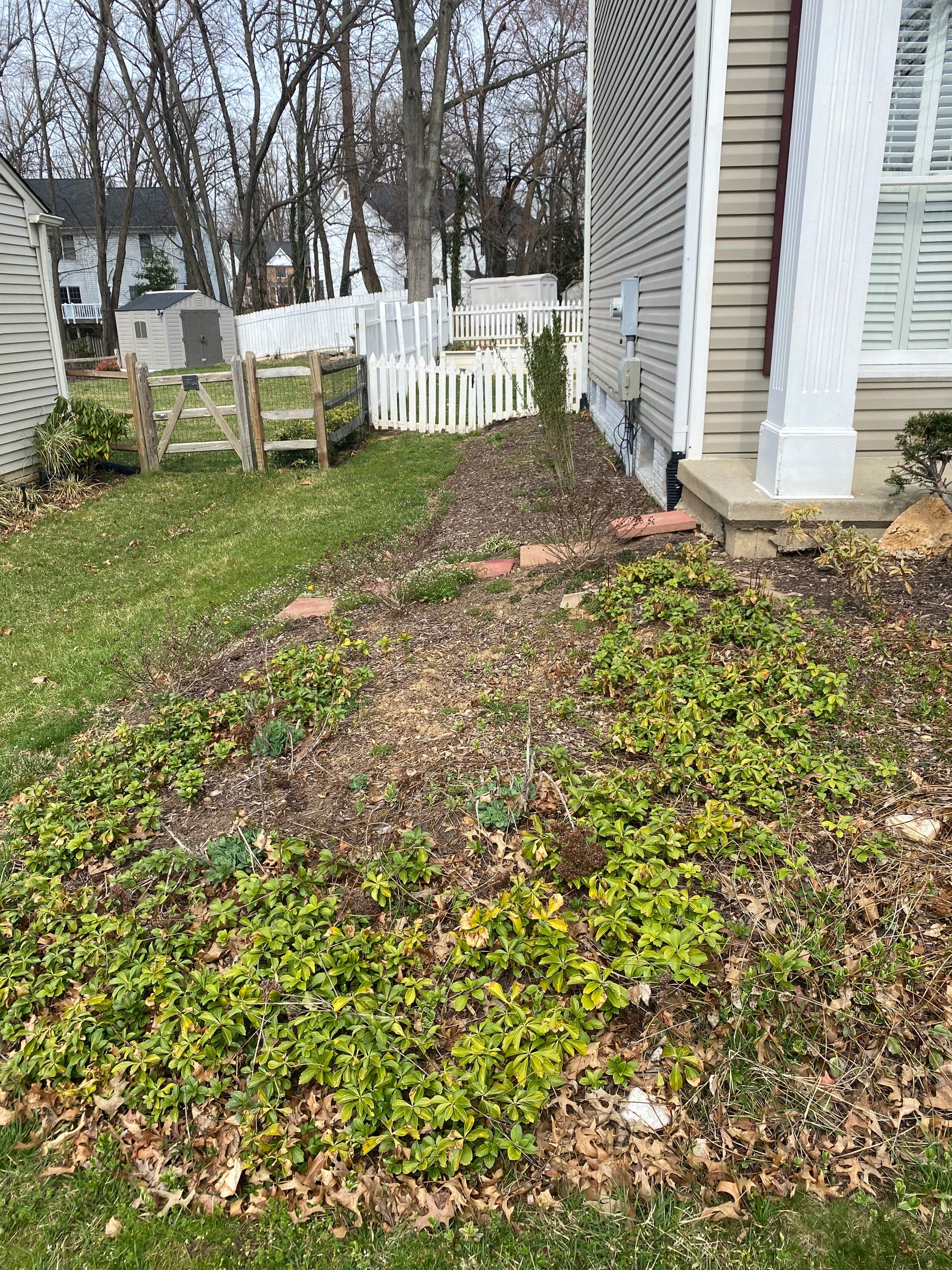 Landscape Design and Cleanup by The Smet Companies, LLC