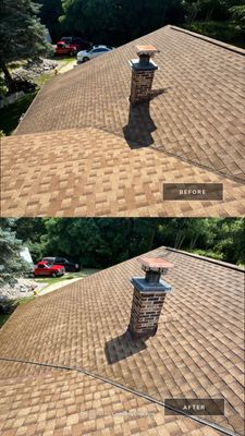 Project in Richmond