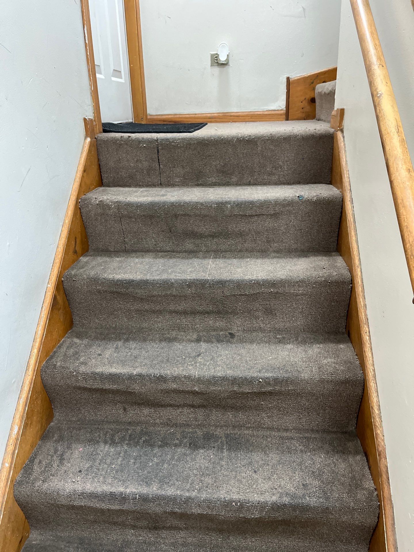 Project in Chicago by Xo Clean Services 