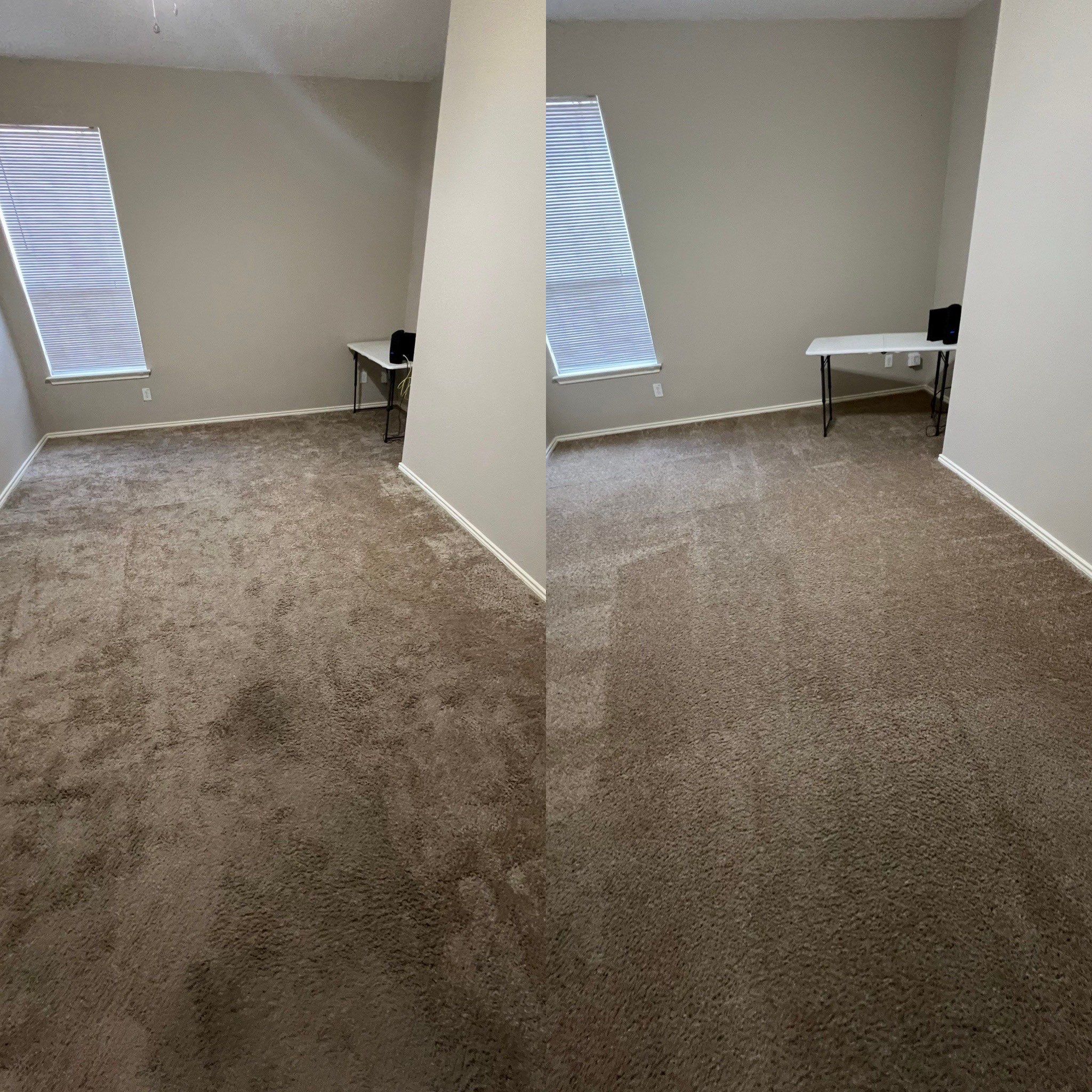 the image shows carpet cleaning service being performed on a living room carpet making it look fresh and tidy