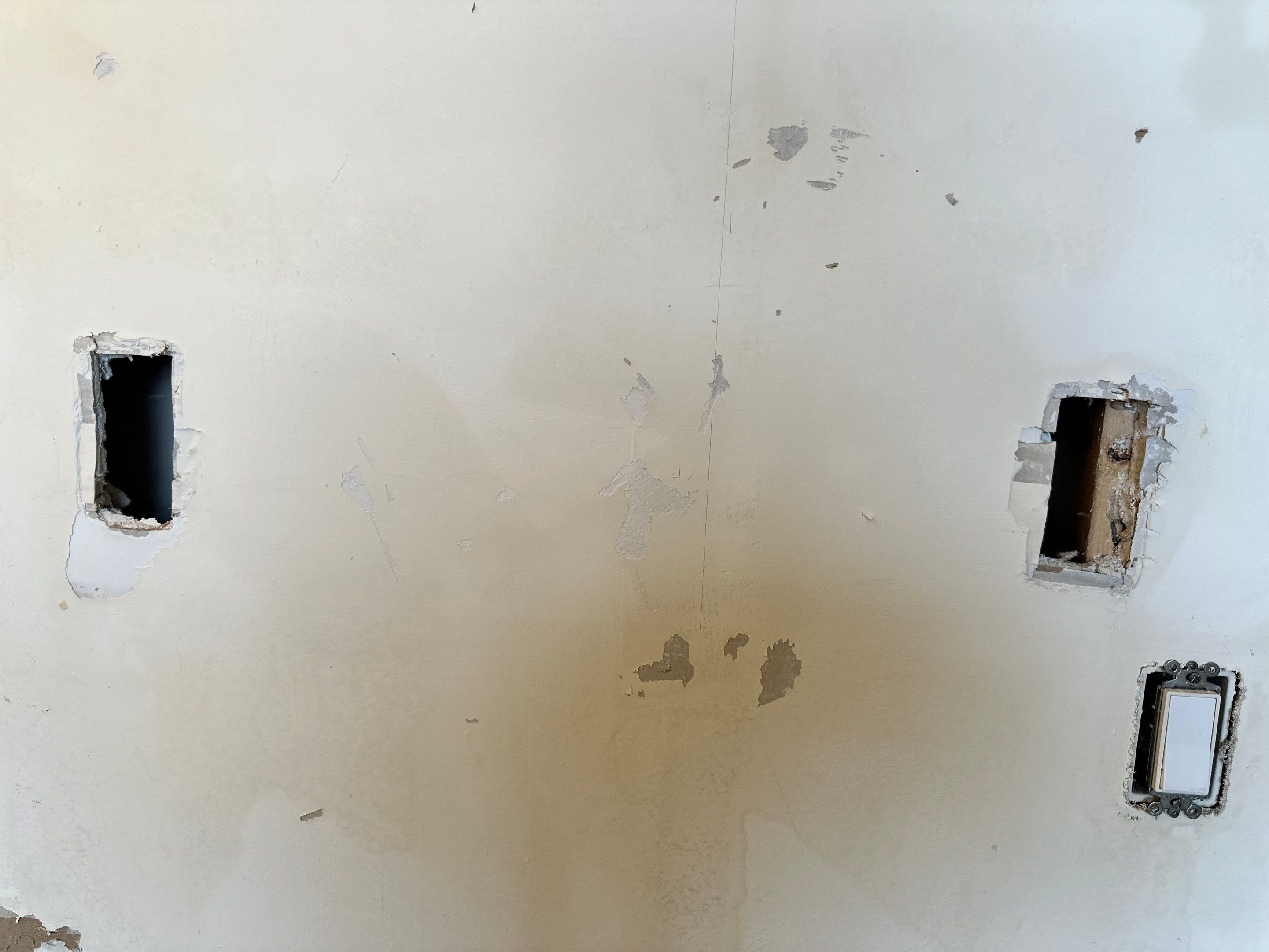 Lenny Van Denhandel - Interior by Fresh Coat Painters