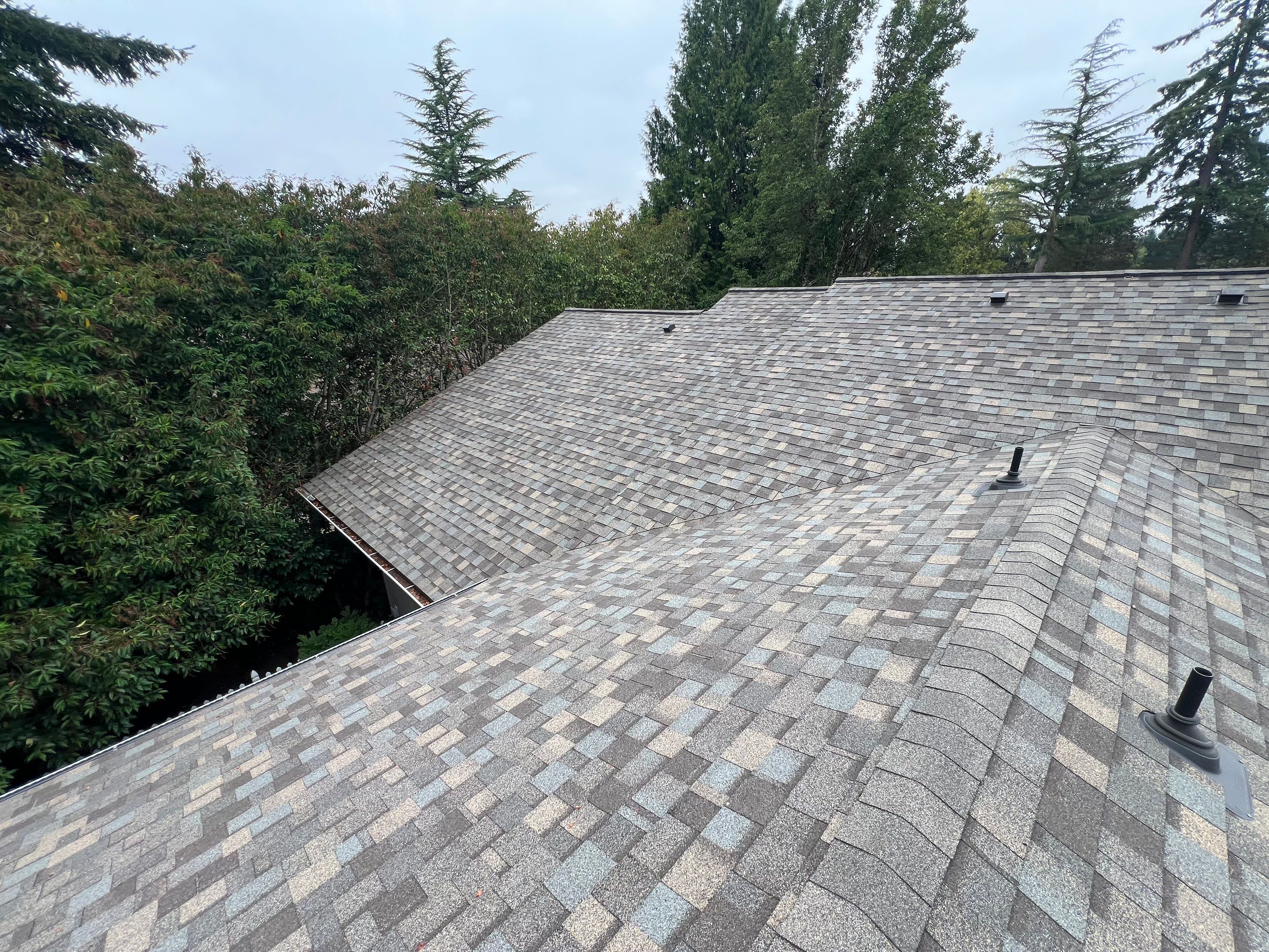 Berkeley Andrew’s by Advanced Contracting Inc