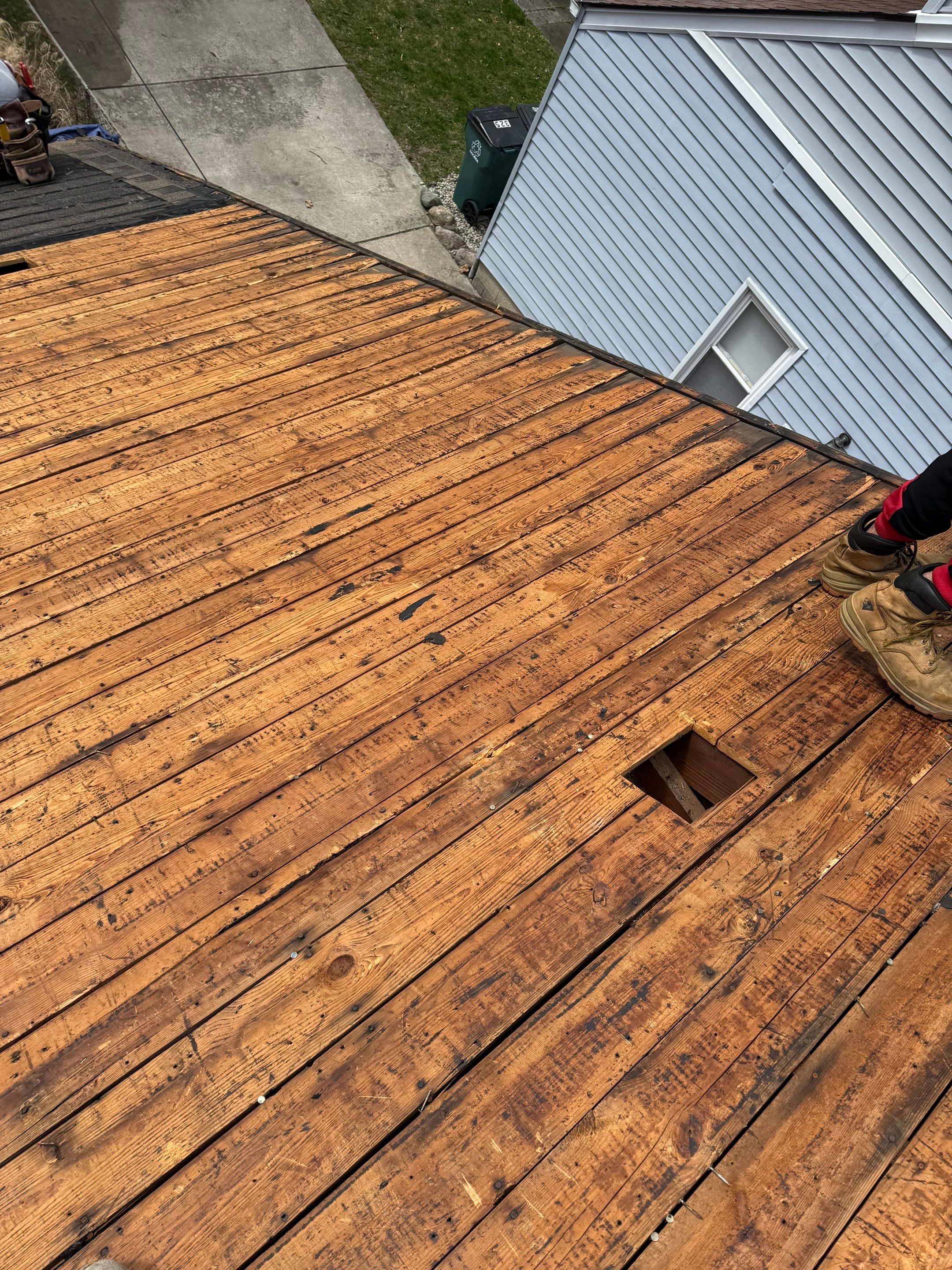 Project in Ferndale by Eave Roofing
